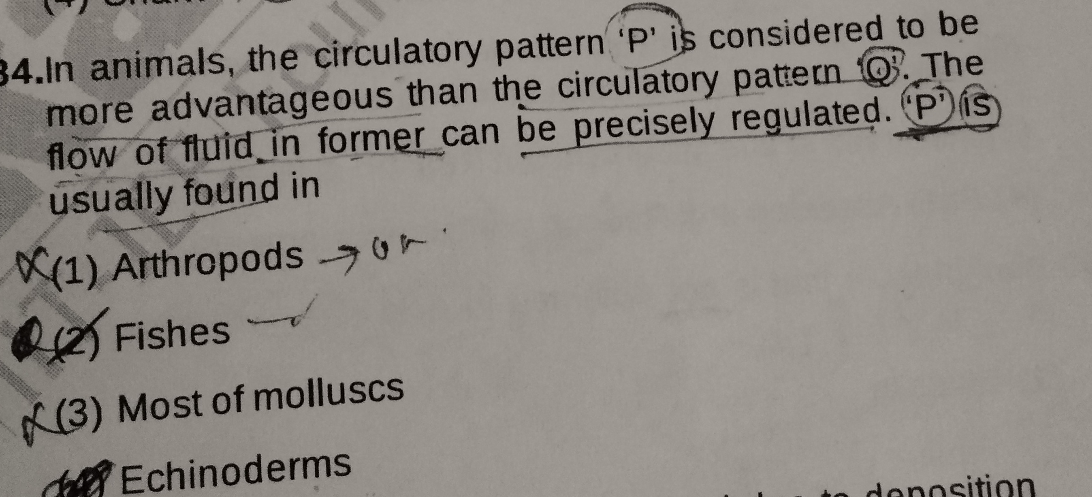 34.In animals, the circulatory pattern ' P ' is considered to be more 