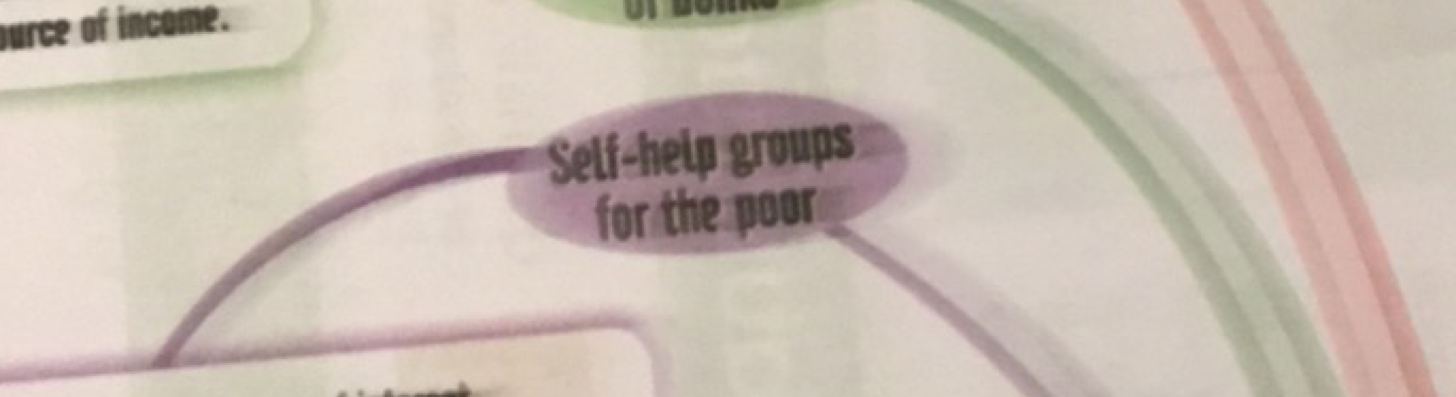 Self-help groups for the poor