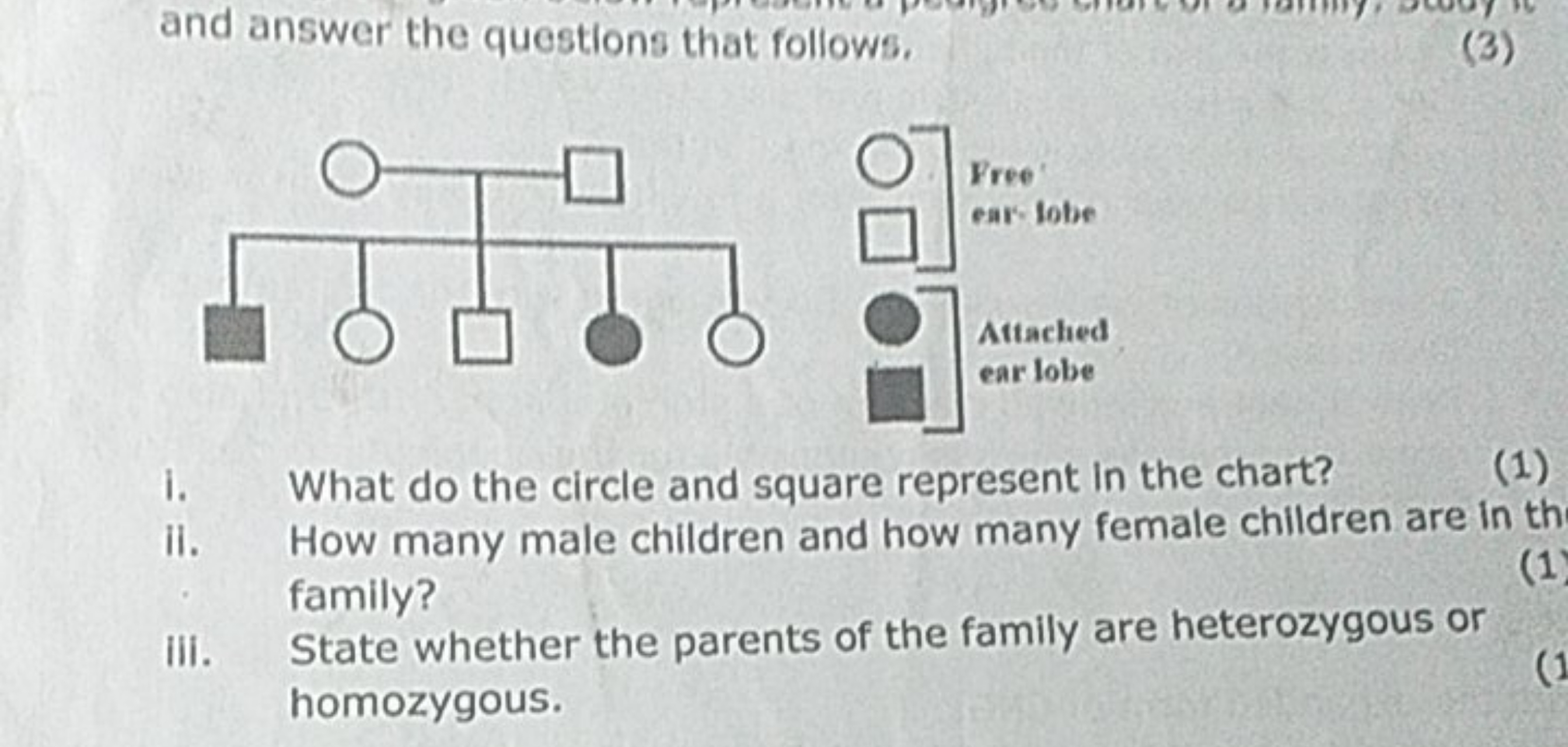 and answer the questions that follows.
(3)
i. What do the circle and s