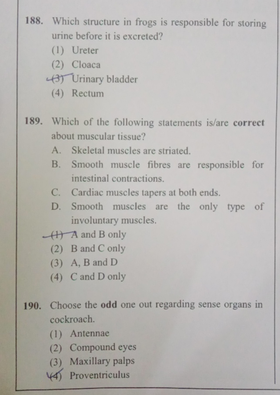 188. Which structure in frogs is responsible for storing urine before 