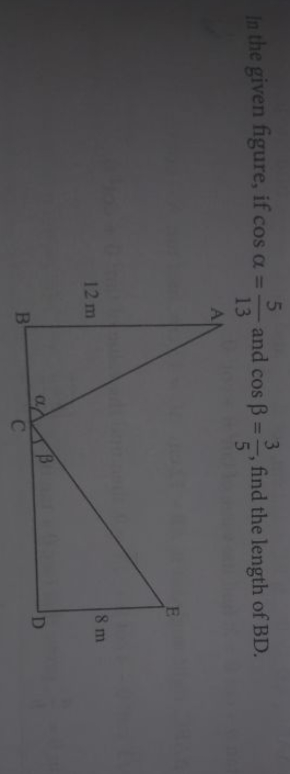 In the given figure, if cosα=135​ and cosβ=53​, find the length of BD.