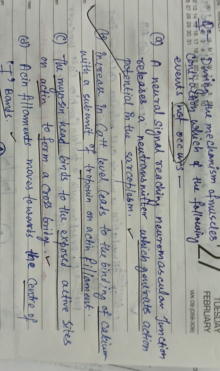 Q D. ∗H5, the mechanism of muscles
TUESDAY
FEBRUARY
wxо9(0589839)
even