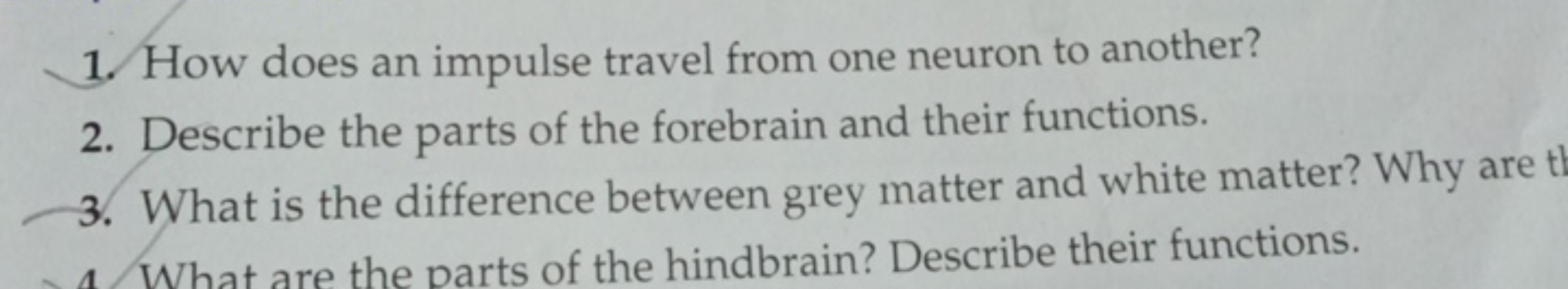 1. How does an impulse travel from one neuron to another?
2. Describe 