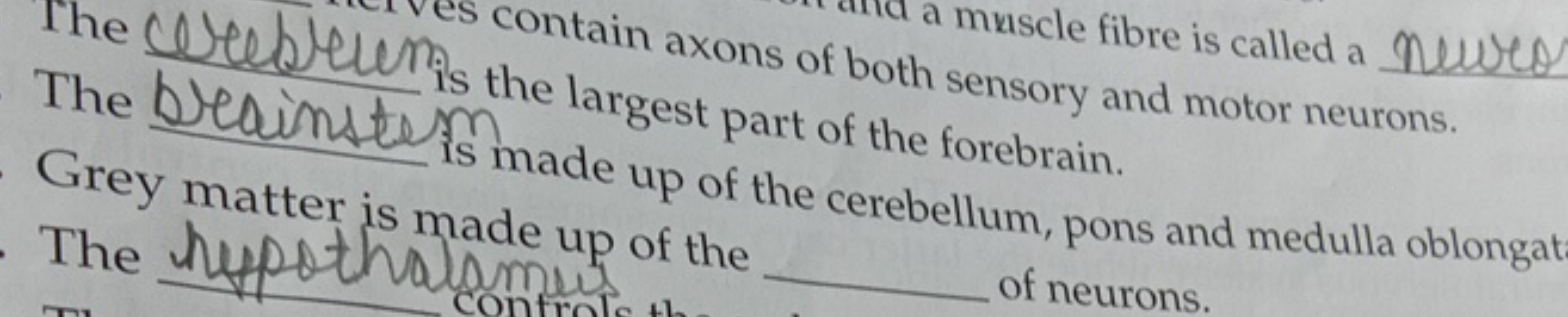 The ceeeble contain axons of bot muscle fibre is called a Newro
The be