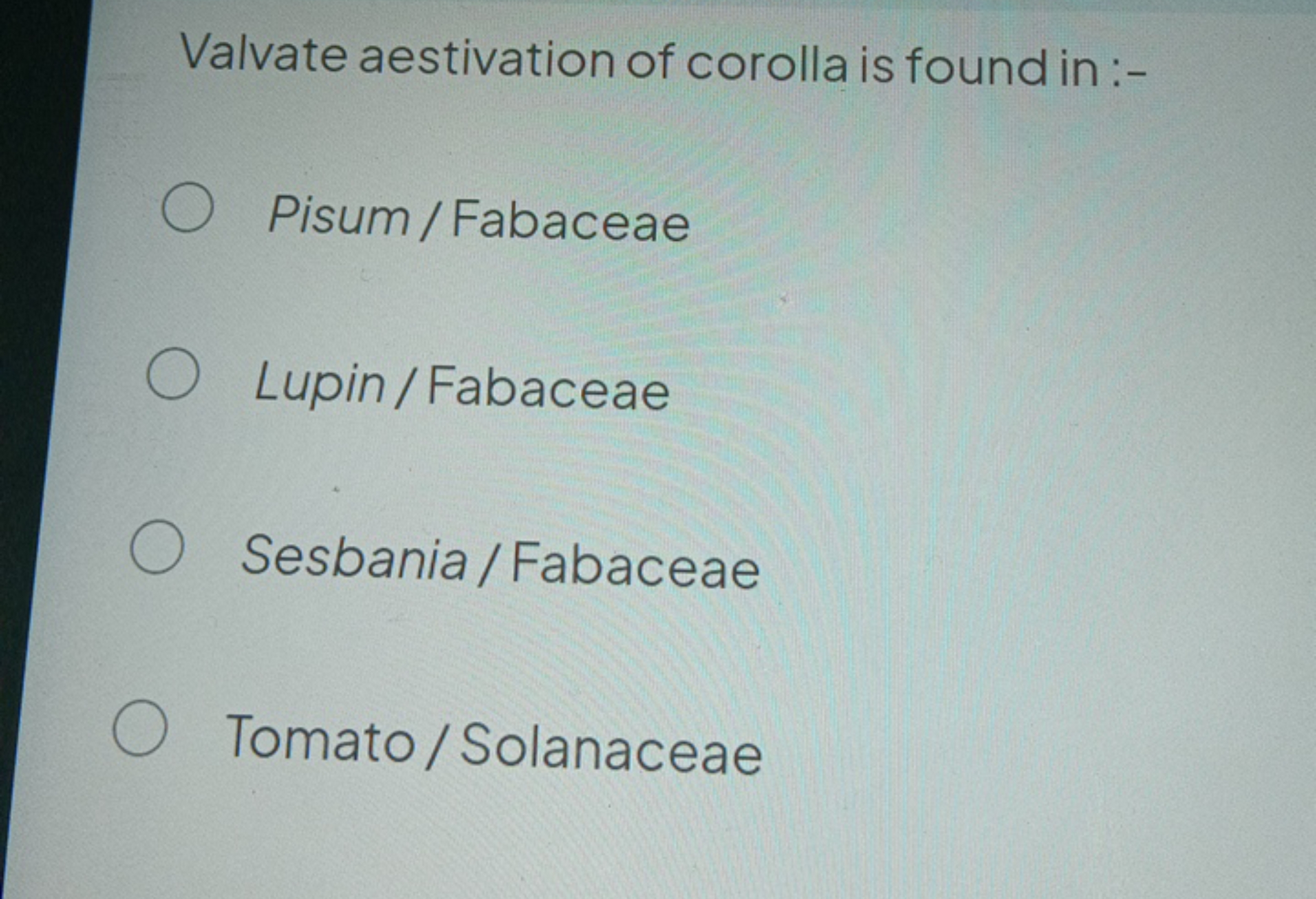 Valvate aestivation of corolla is found in :-
Pisum / Fabaceae
Lupin /