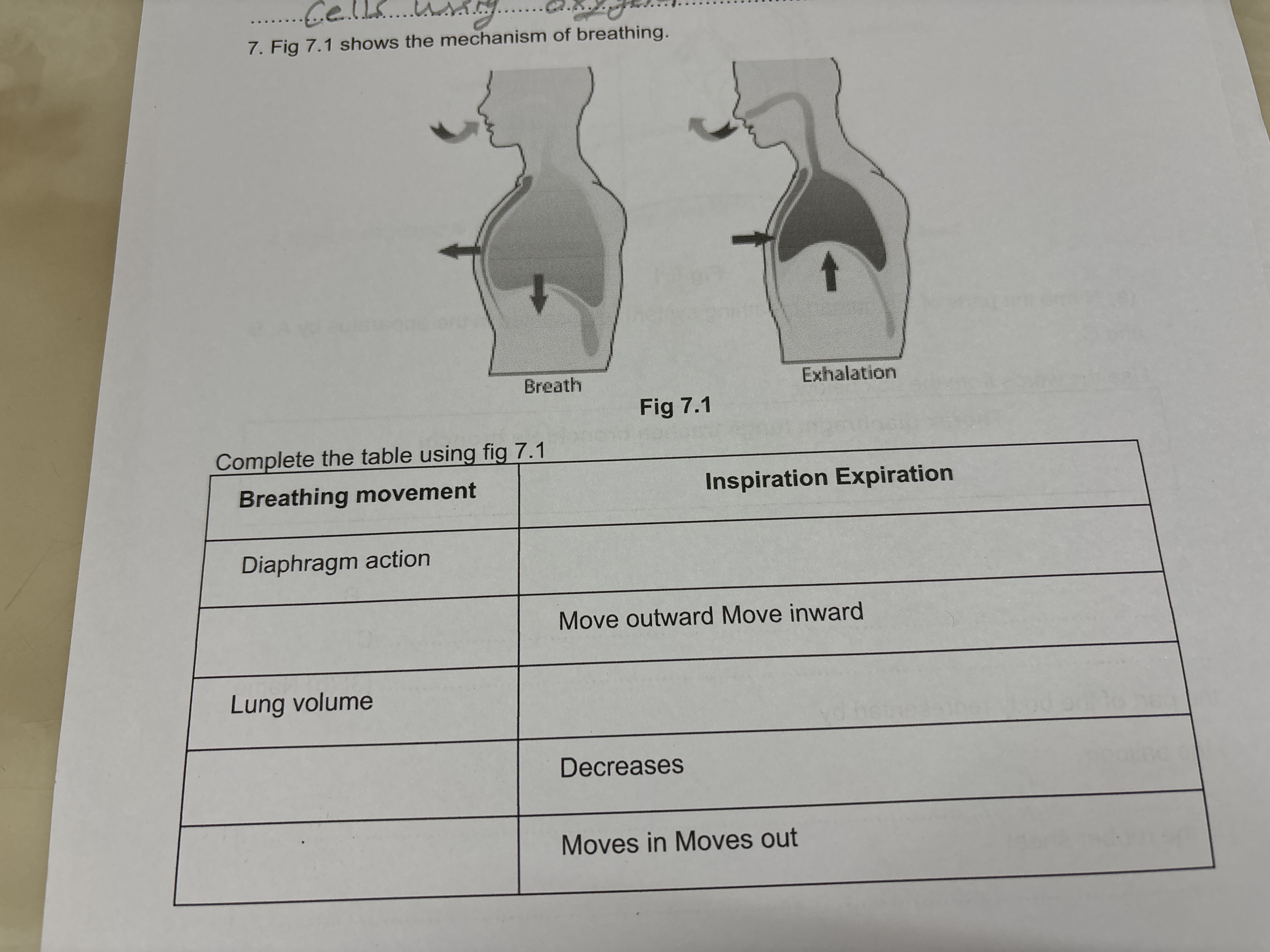 7. Fig 7.1 shows the mechanism of breathing.

Breath
Fig 7.1
Exhalatio