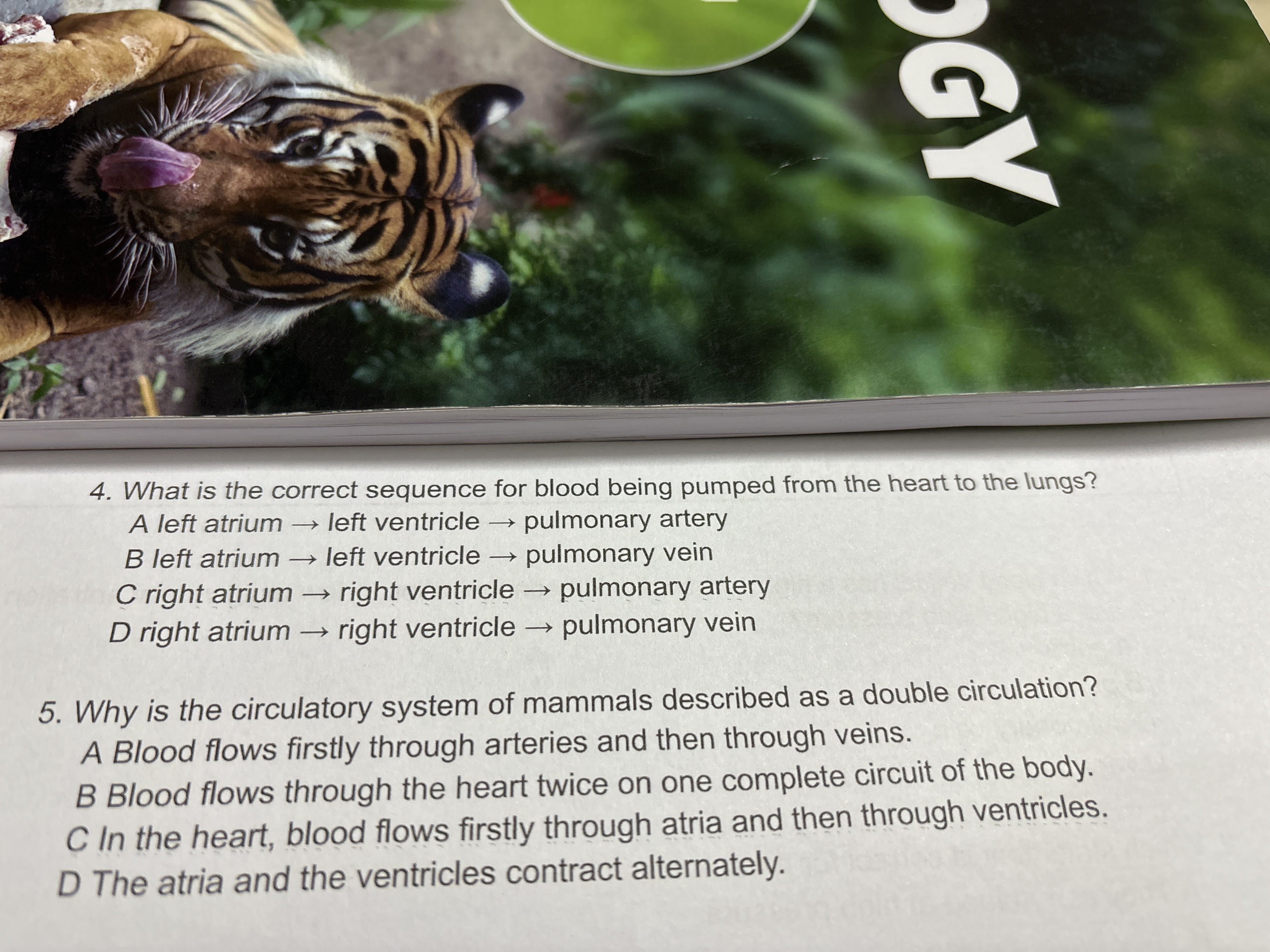 4. What is the correct sequence for blood being pumped from the heart 