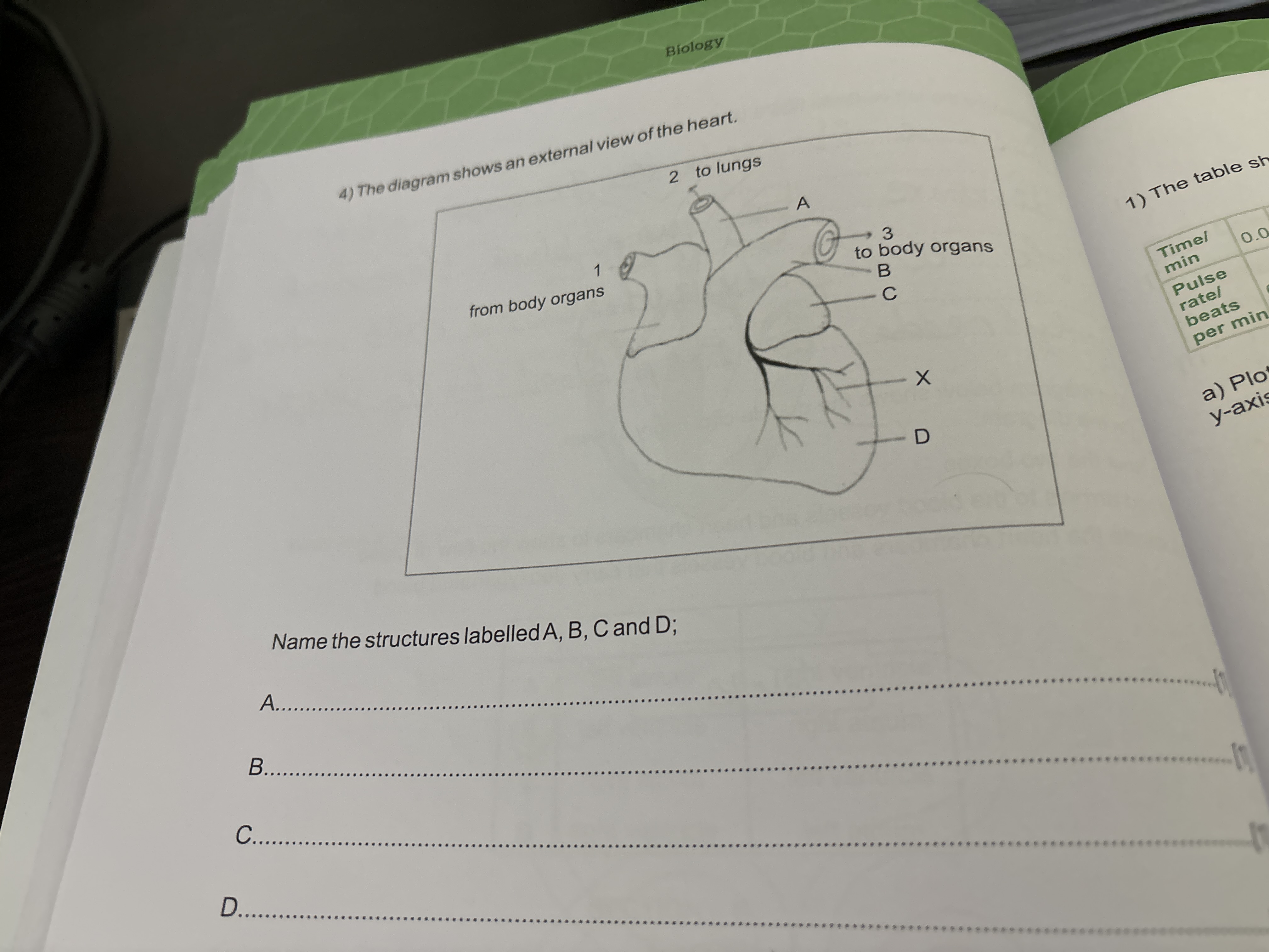 4) The diagram shows an external view of the heart.
1) The table sh

N