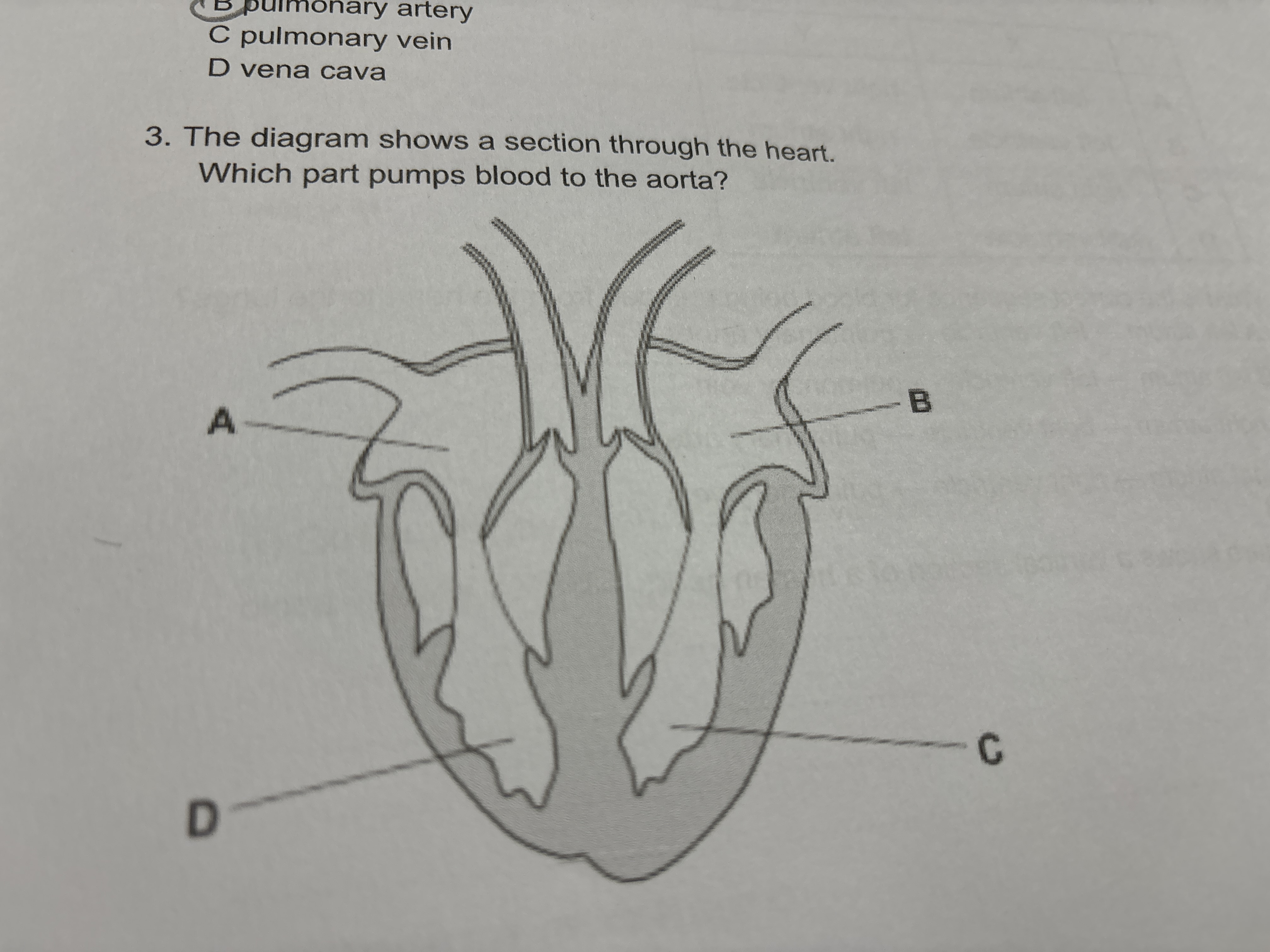 ulmonary artery
C pulmonary vein
D vena cava
3. The diagram shows a se