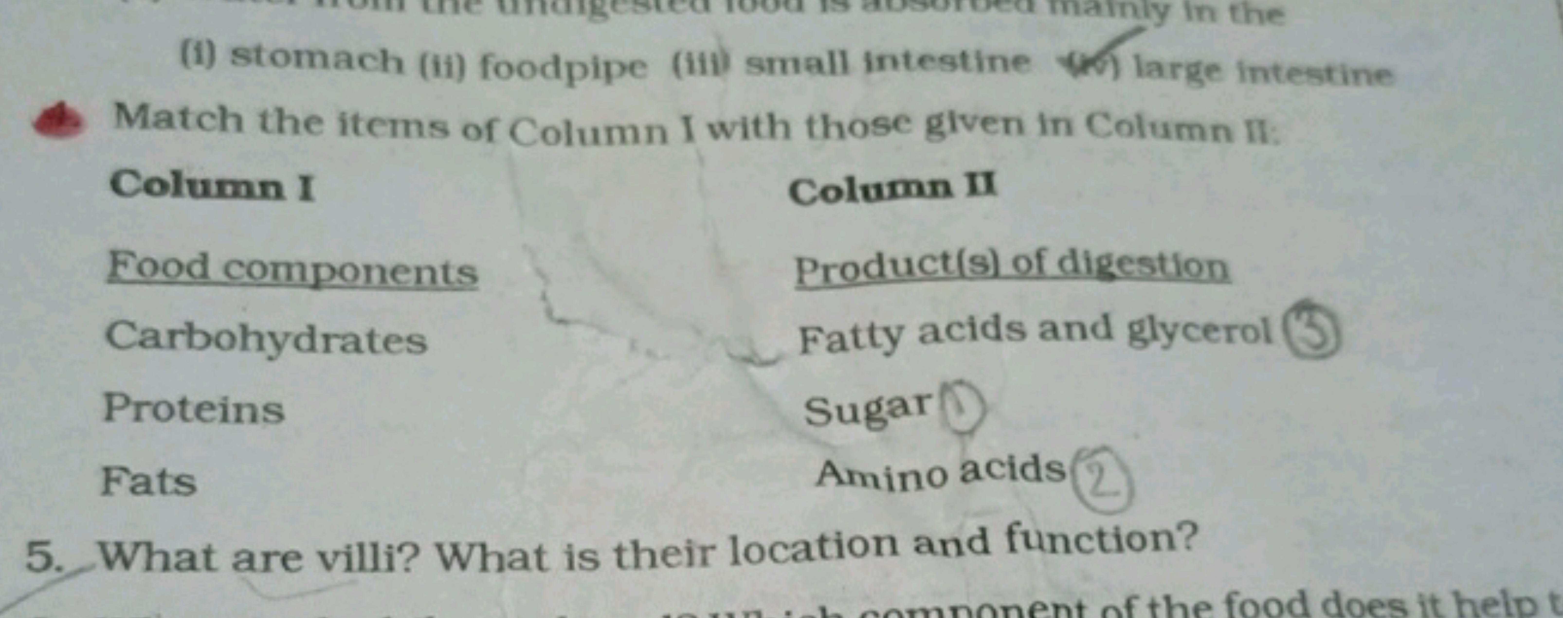 (i) stomach (ii) foodpipe (iil) small intestine large intestine

Match