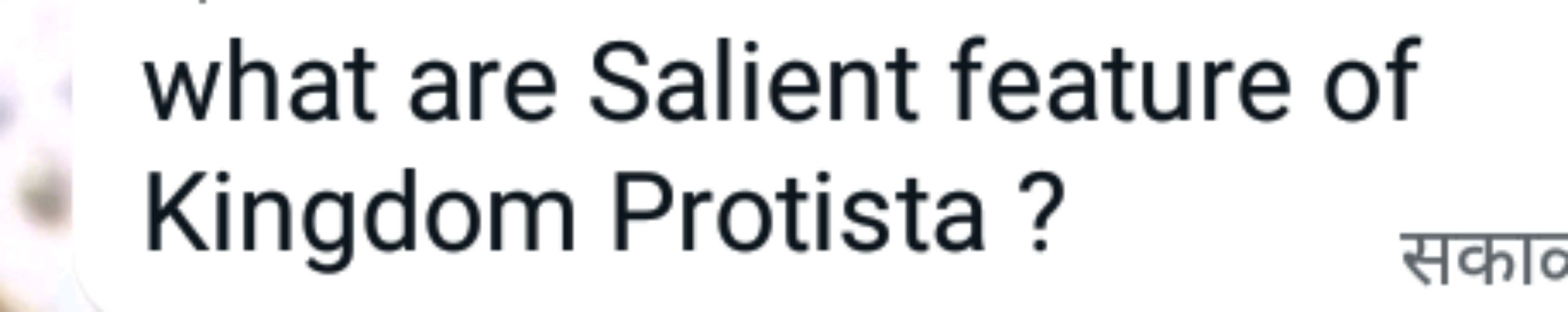 what are Salient feature of Kingdom Protista ?