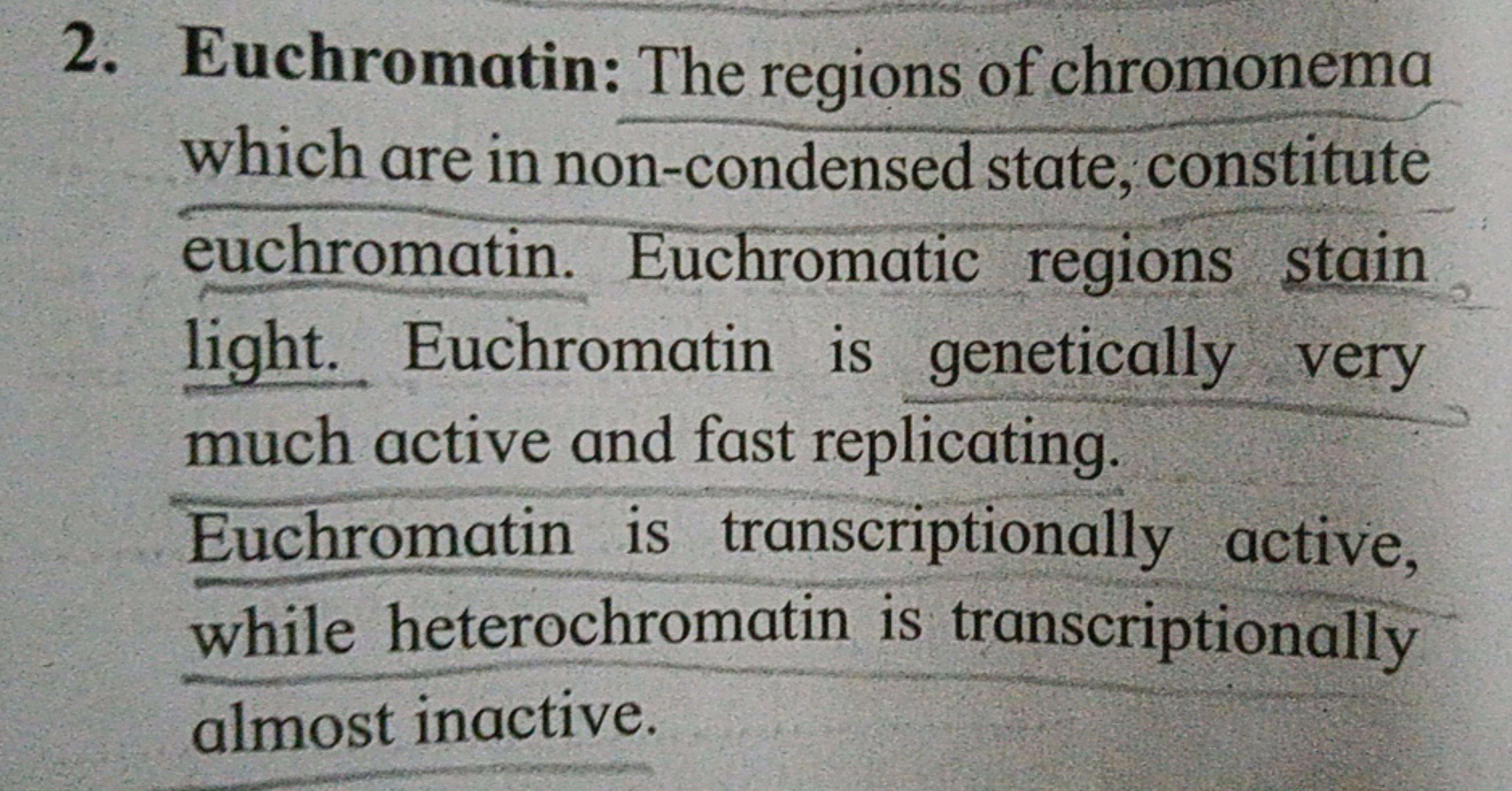 2. Euchromatin: The regions of chromonema which are in non-condensed s