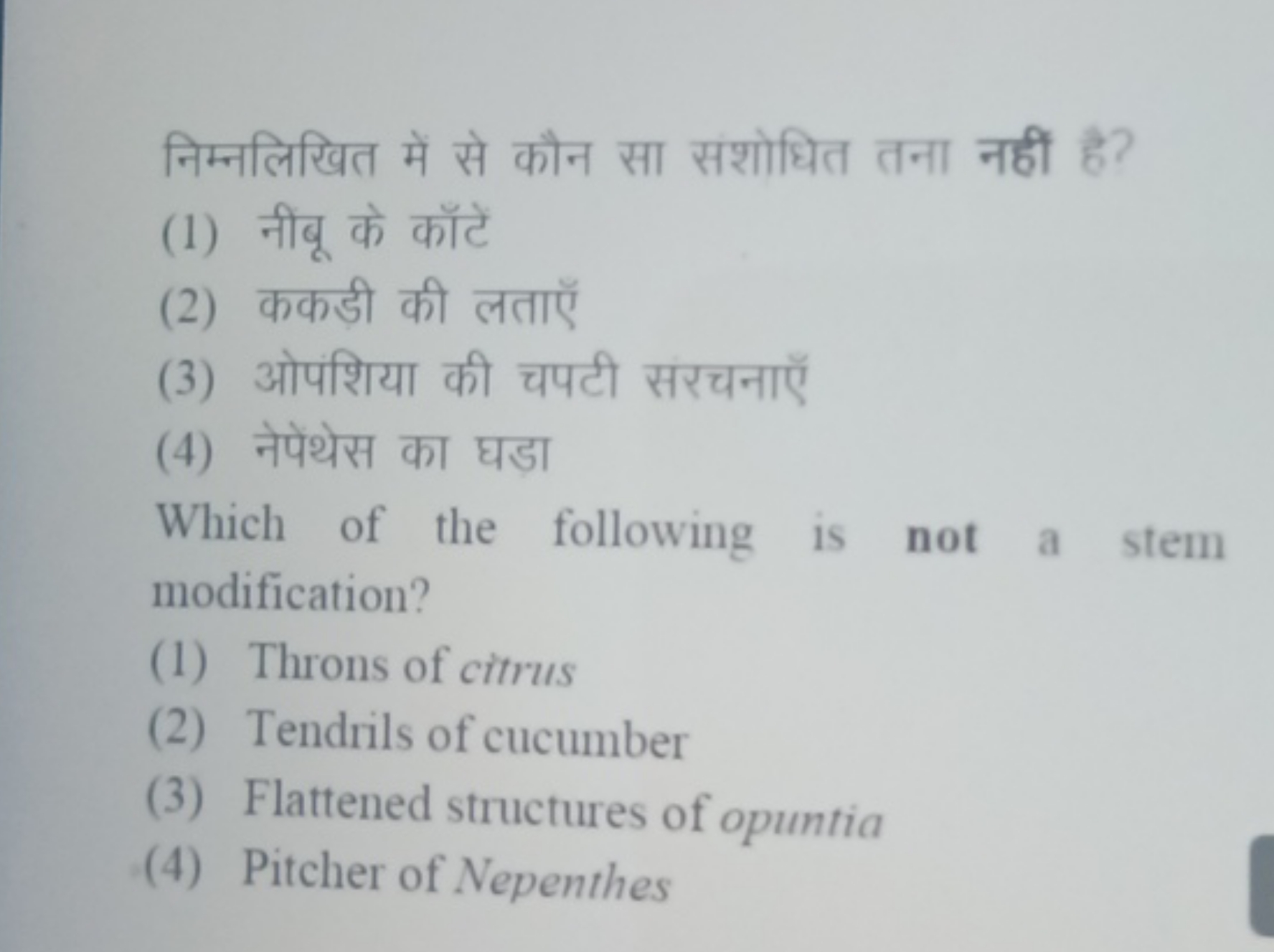 निम्नलिखित में से कौन सा संशोधित तना नहीं है?
(1) नींबू के काँटें
(2) 