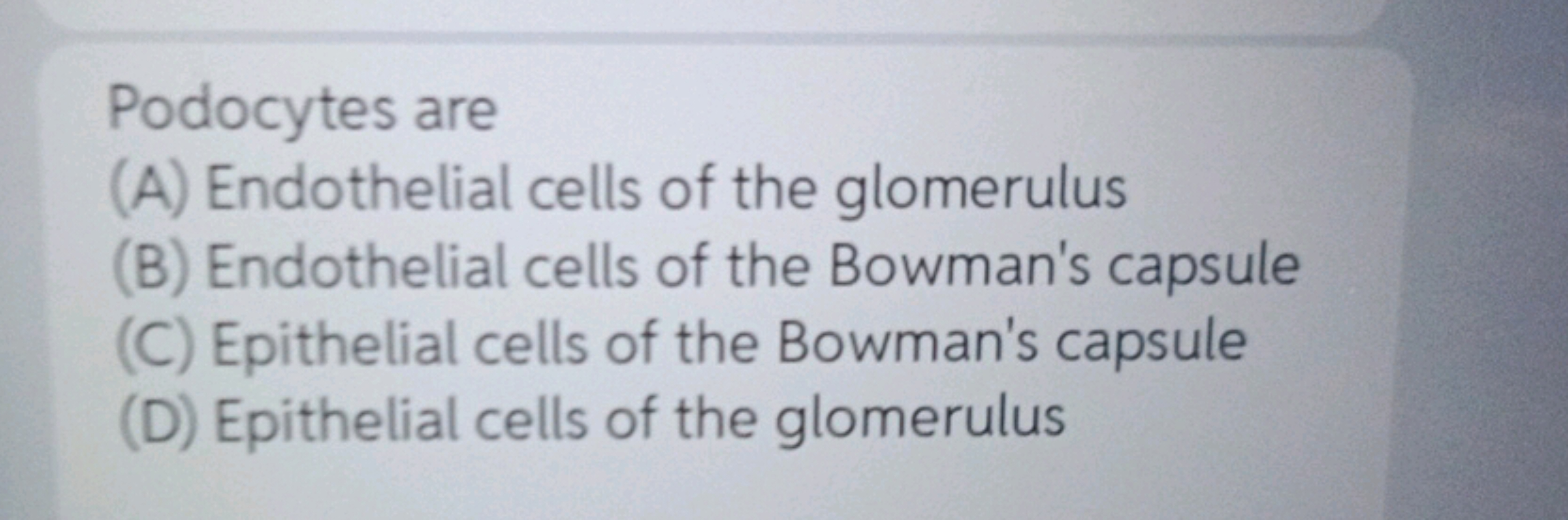 Podocytes are
(A) Endothelial cells of the glomerulus
(B) Endothelial 