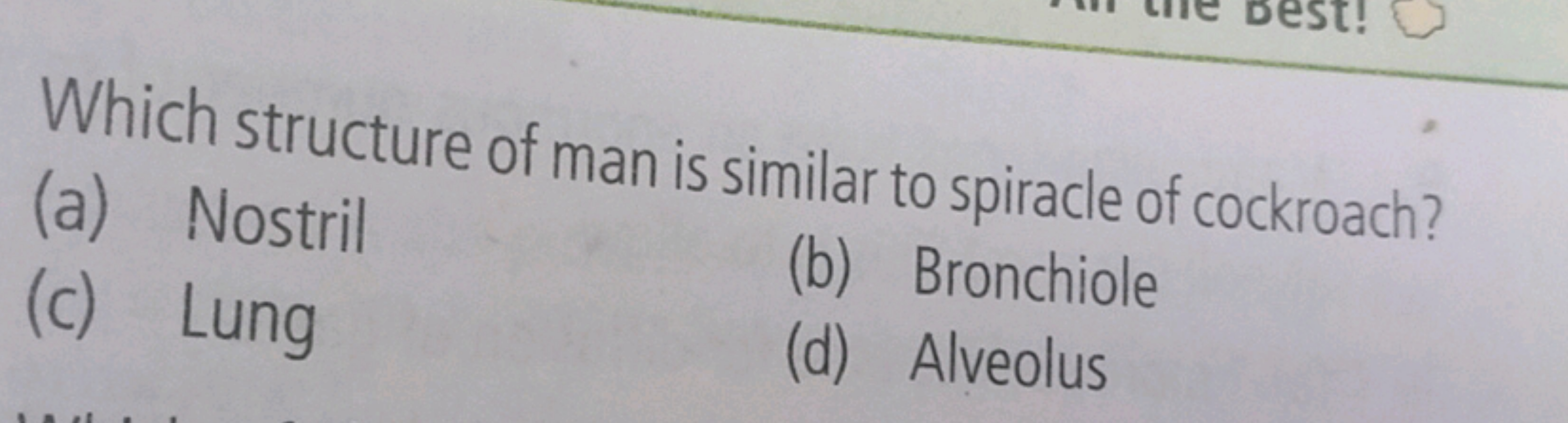 Which structure of man is similar to spiracle of cockroach?
(a) Nostri