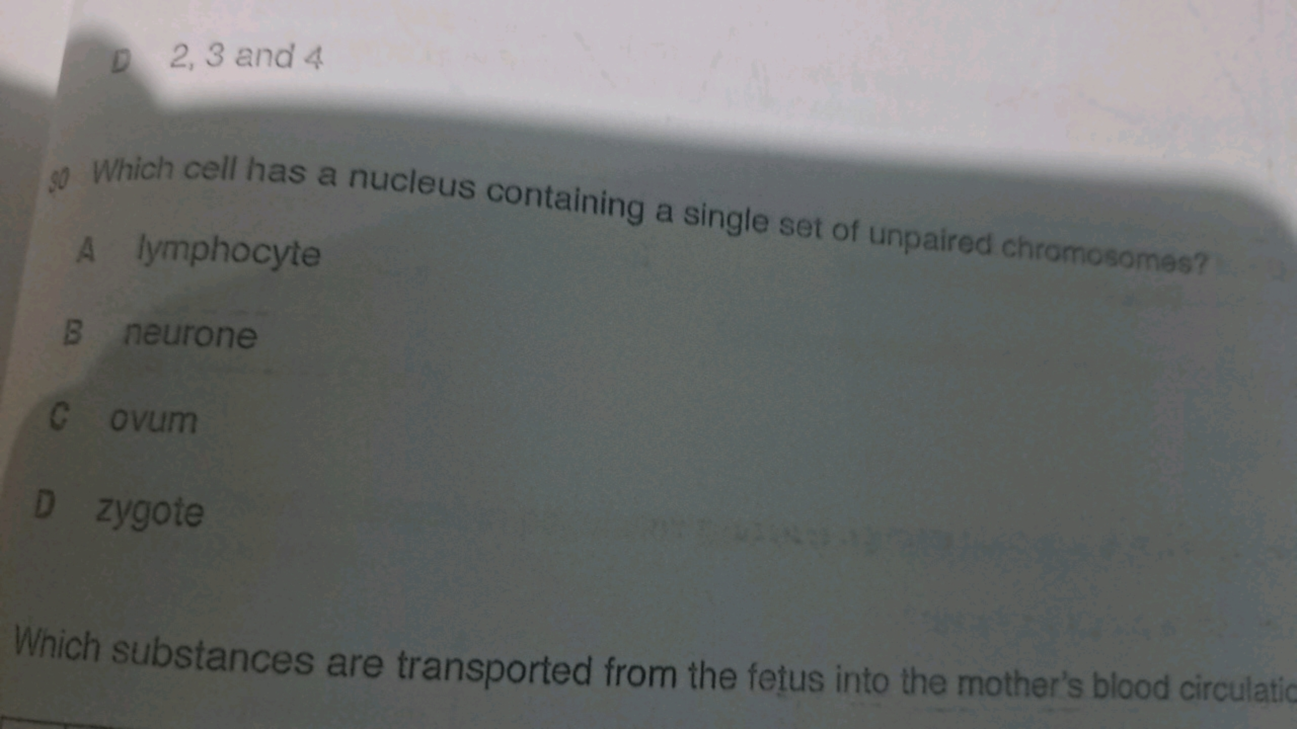 D 2, 3 and 4
8. Which cell has a nucleus containing a single set of un