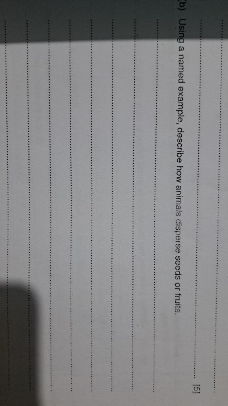 b) Using a named example, describe how animals disperse seeds or fruit