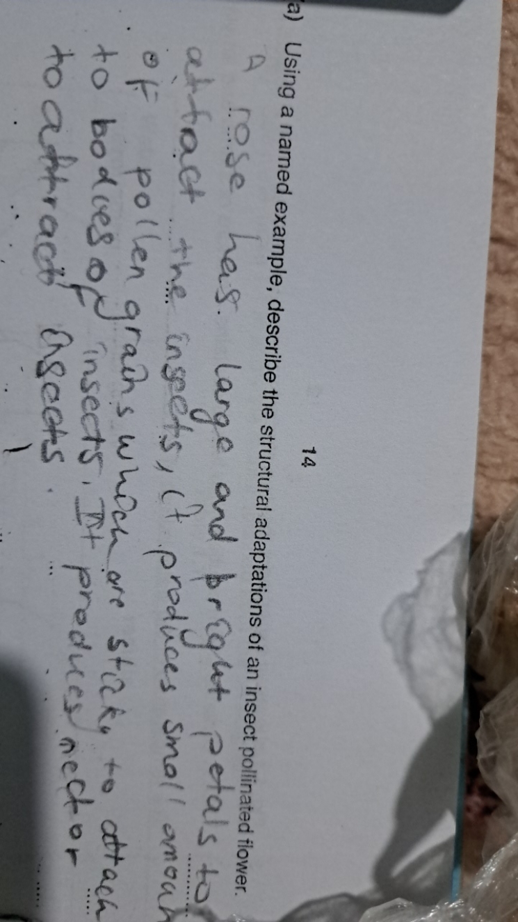 14
a) Using a named example, describe the structural adaptations of an