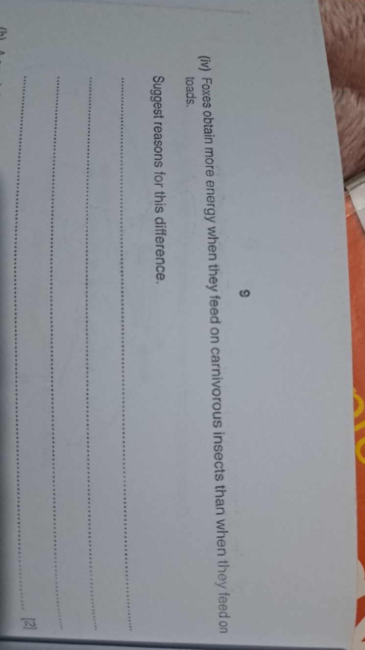 9
(iv) Foxes obtain more energy when they feed on carnivorous insects 