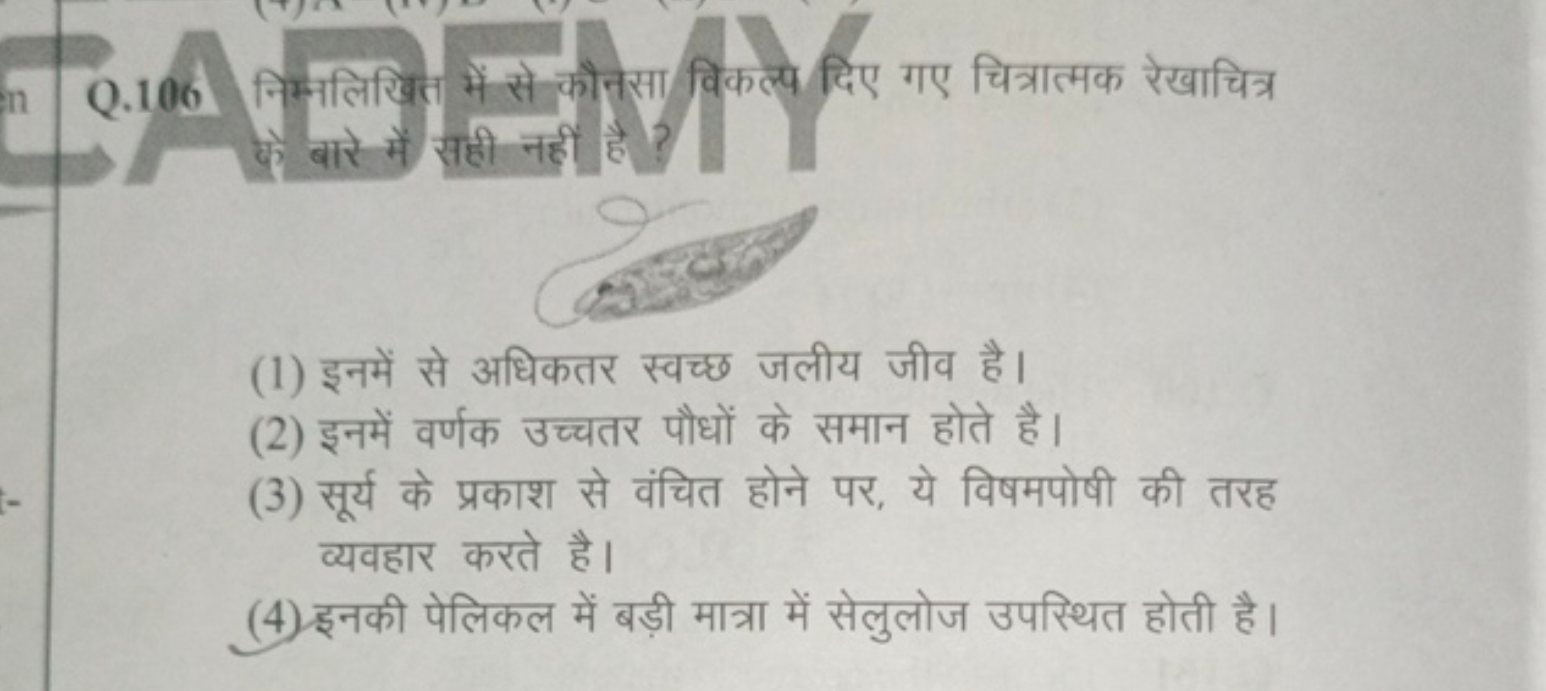 Q. 106
न्मलिखित में से कौनसा विकल्प दिए गए चित्रात्मक रेखाचित्र बारे म