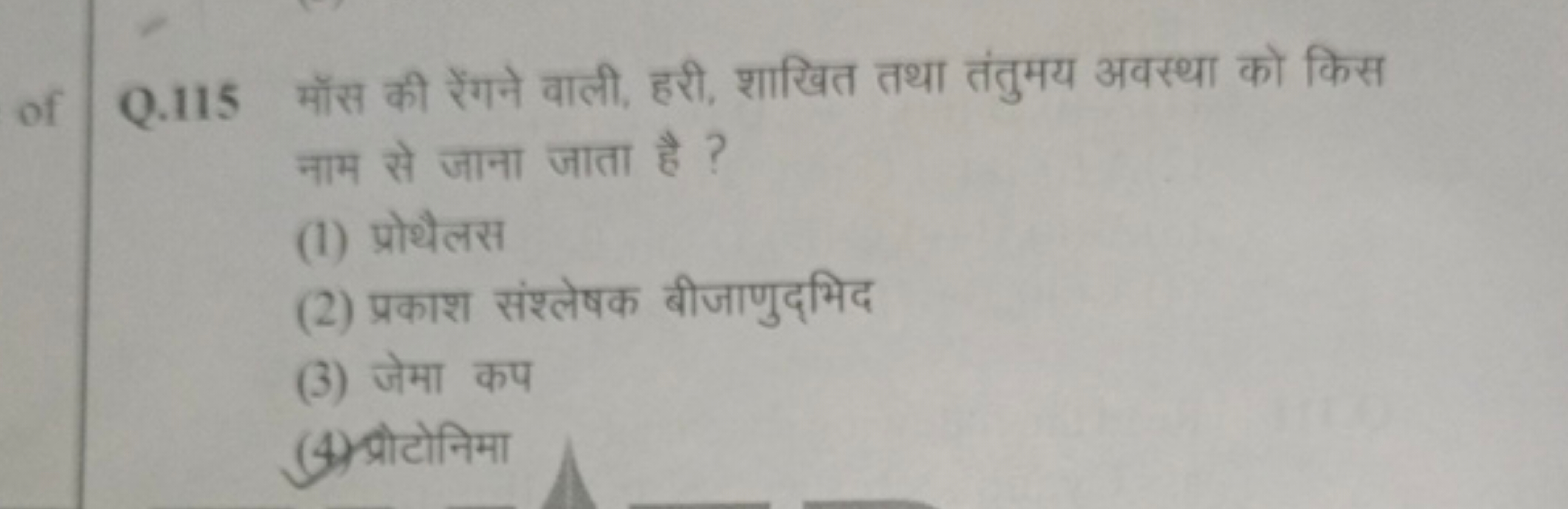 Q. 115 मॉस की रेंगने वाली, हरी, शाखित तथा तंतुमय अवस्था को किस नाम से 