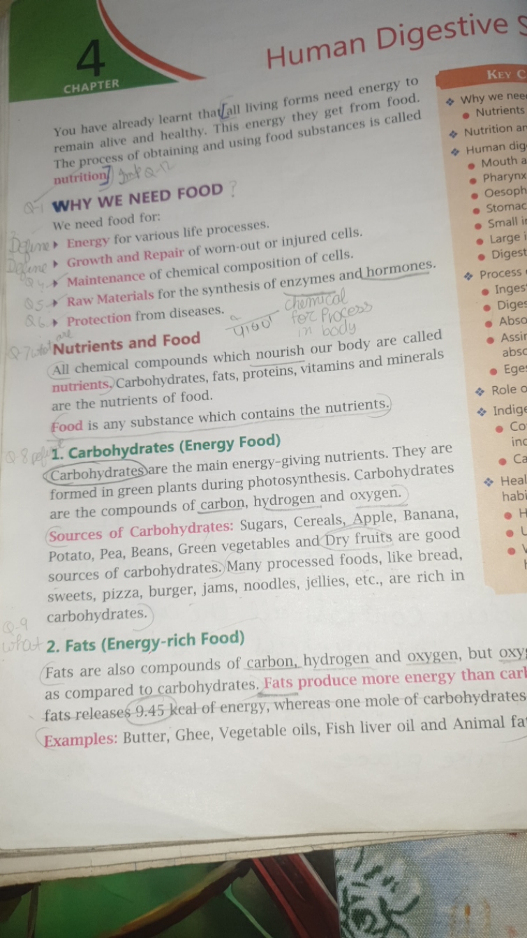 Human Digestive
CHAPTER
You have already learnt that [all living forms