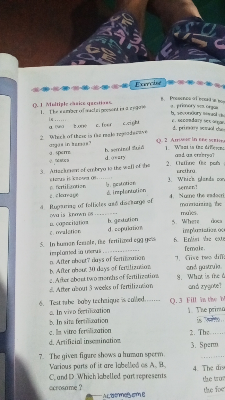 Exercise
Q. 1 Multiple choice questions.
1. The number of nuclei prese