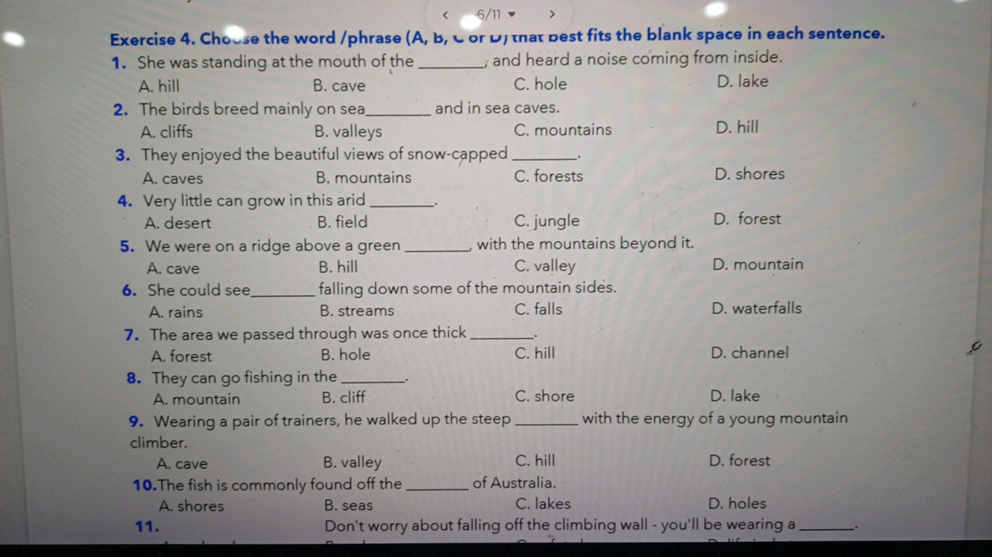 Exercise 4. Chouse the word/phrase ( A,b,ᄂ or ν ) nat pest fits the bl