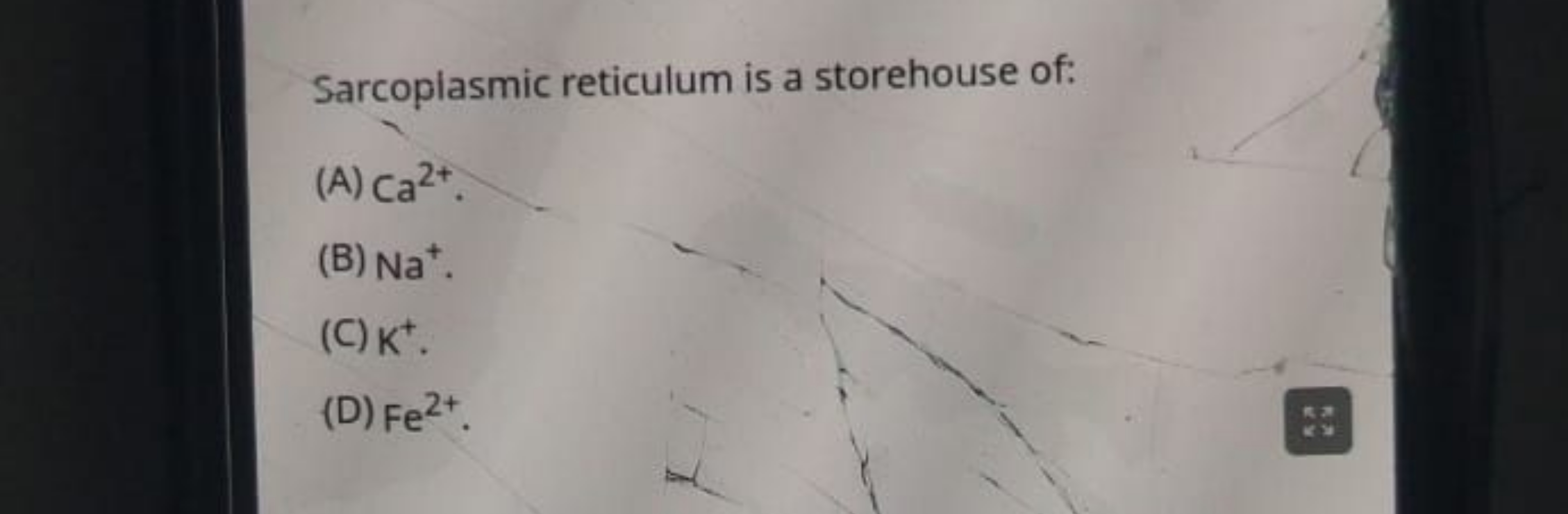 Sarcoplasmic reticulum is a storehouse of:
(A) Ca2+.
(B) Na+.
(C) K+.
