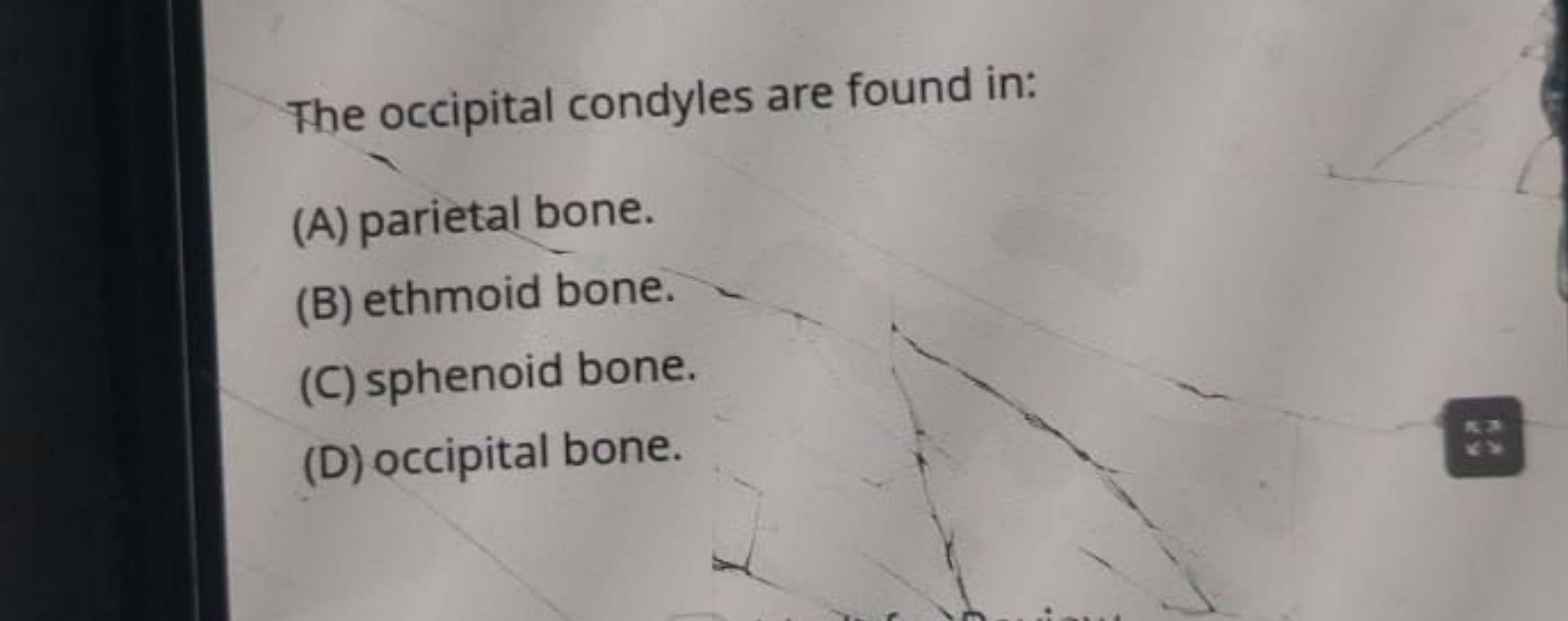 The occipital condyles are found in:
(A) parietal bone.
(B) ethmoid bo