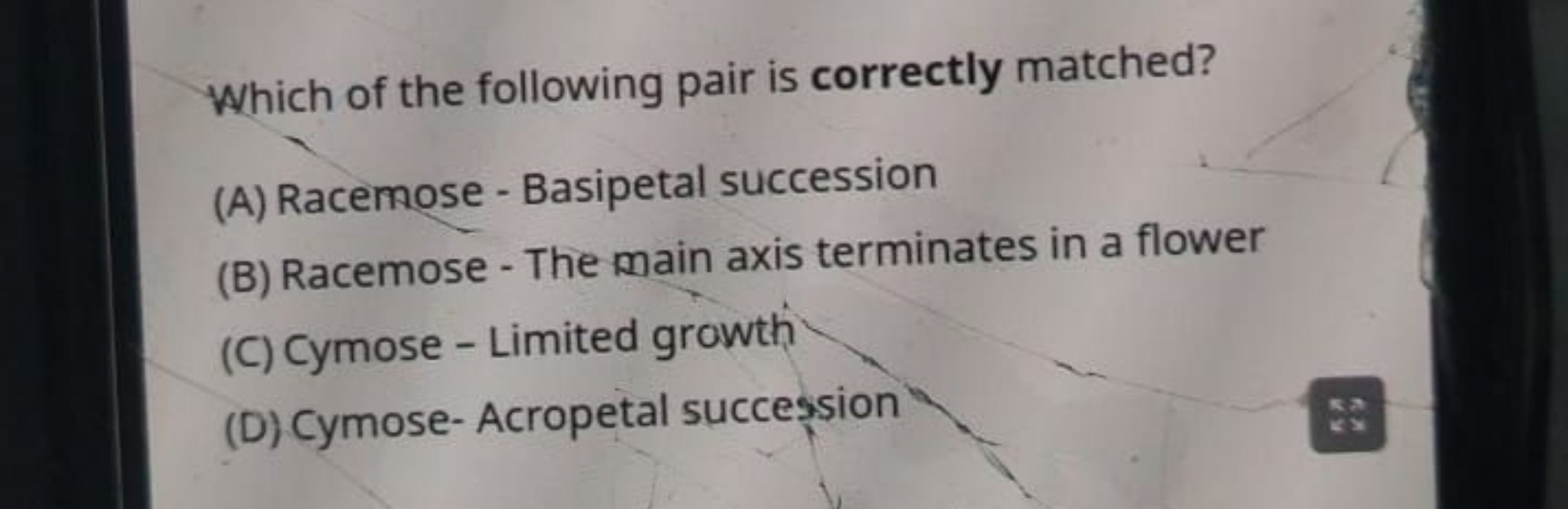 Which of the following pair is correctly matched?
(A) Racemose - Basip