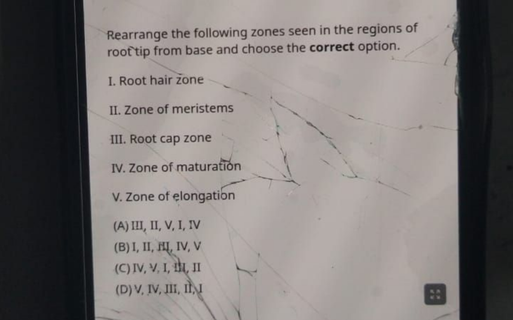 Rearrange the following zones seen in the regions of root tip from bas