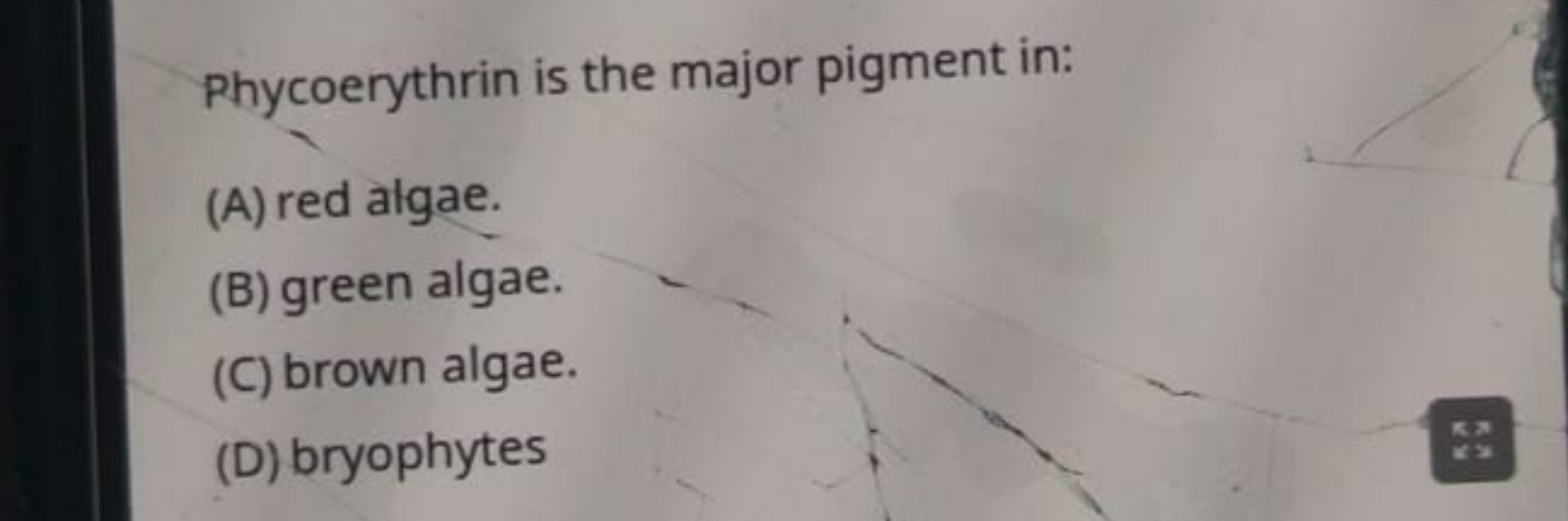 Phycoerythrin is the major pigment in:
(A) red algae.
(B) green algae.