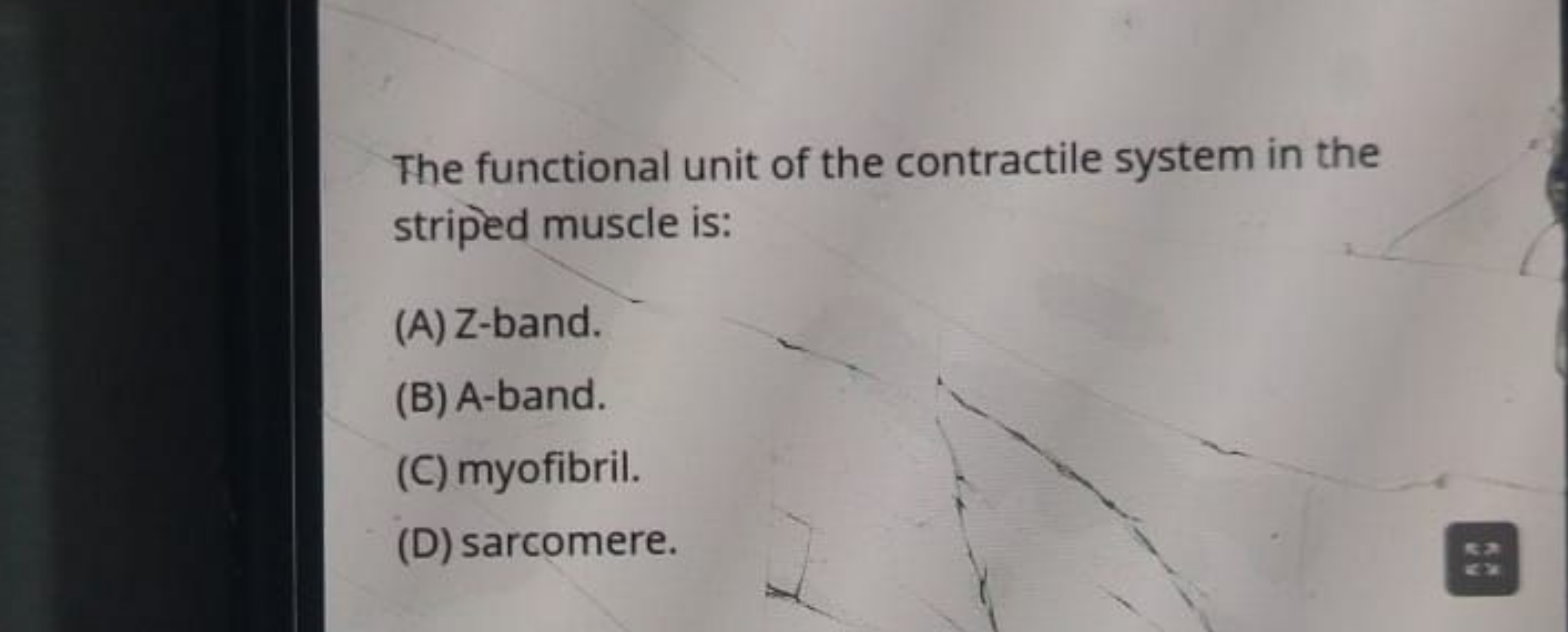 The functional unit of the contractile system in the striped muscle is