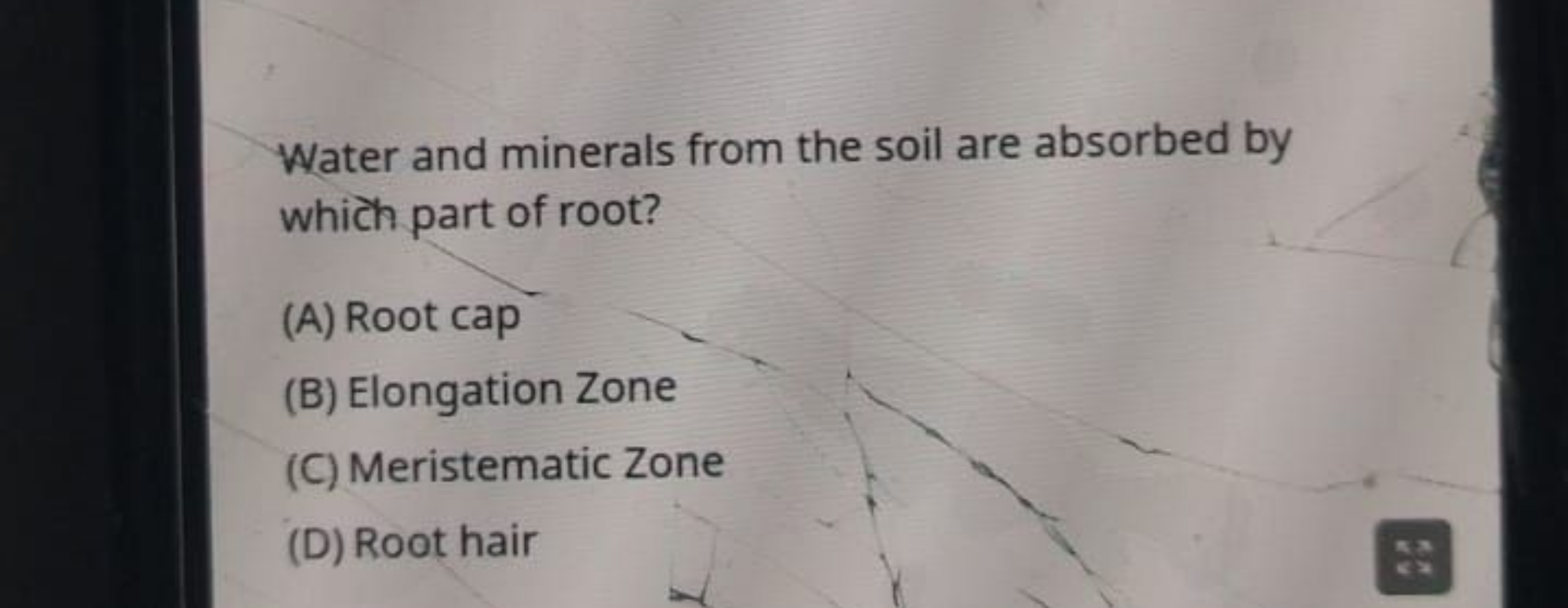 Water and minerals from the soil are absorbed by which part of root?
(