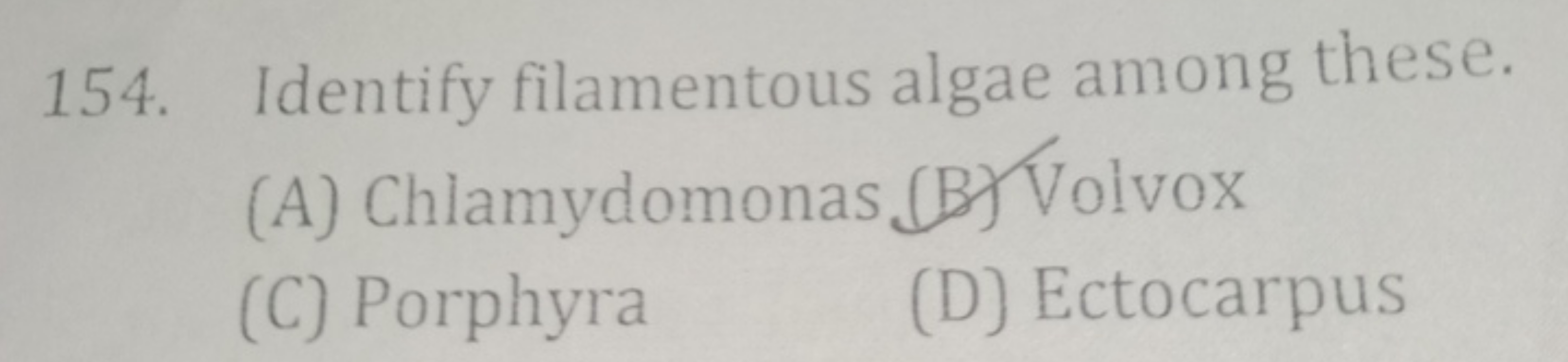 154. Identify filamentous algae among these.
(A) Chlamydomonas
(B) Vol