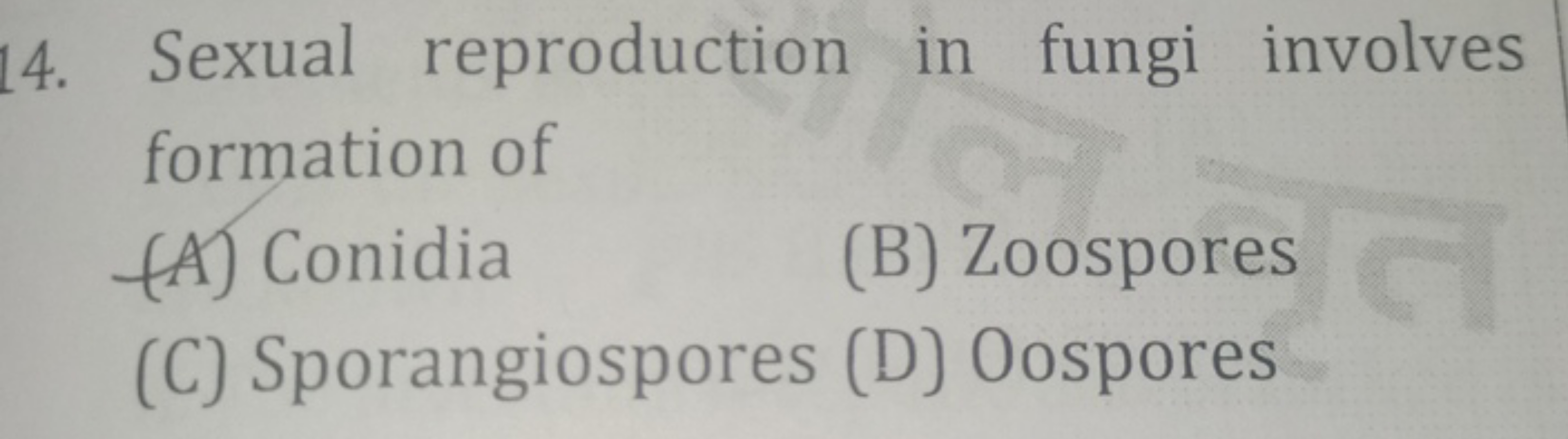 14. Sexual reproduction in fungi involves formation of
(A) Conidia
(B)