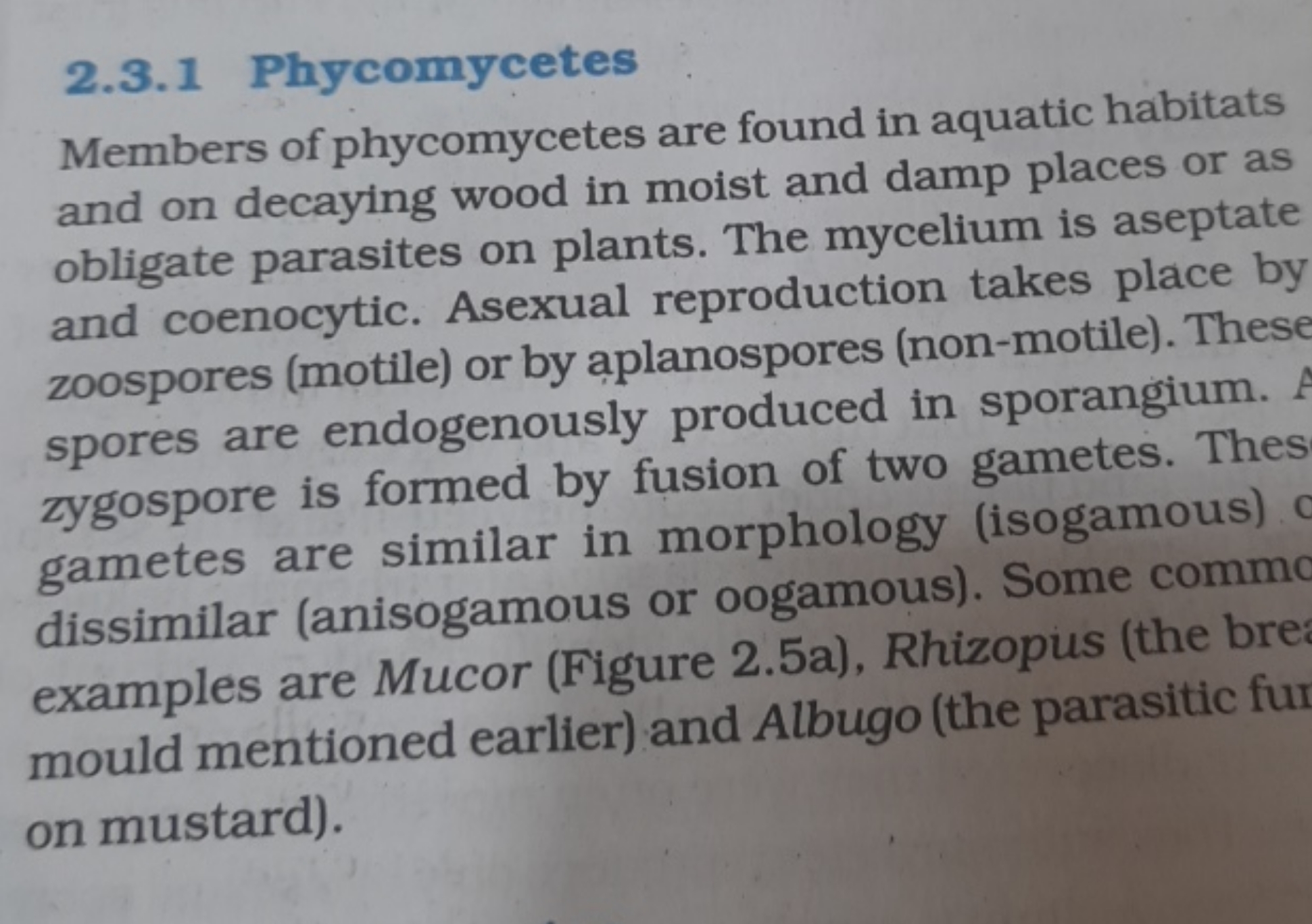 2.3.1 Phycomycetes

Members of phycomycetes are found in aquatic habit