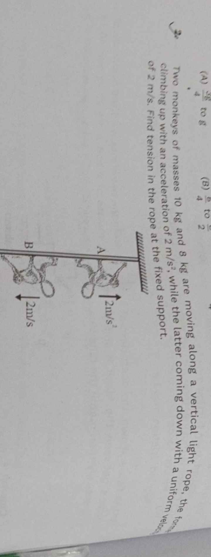 2. Two monkeys of masses 10 kg and 8 kg are moving along a vertical li