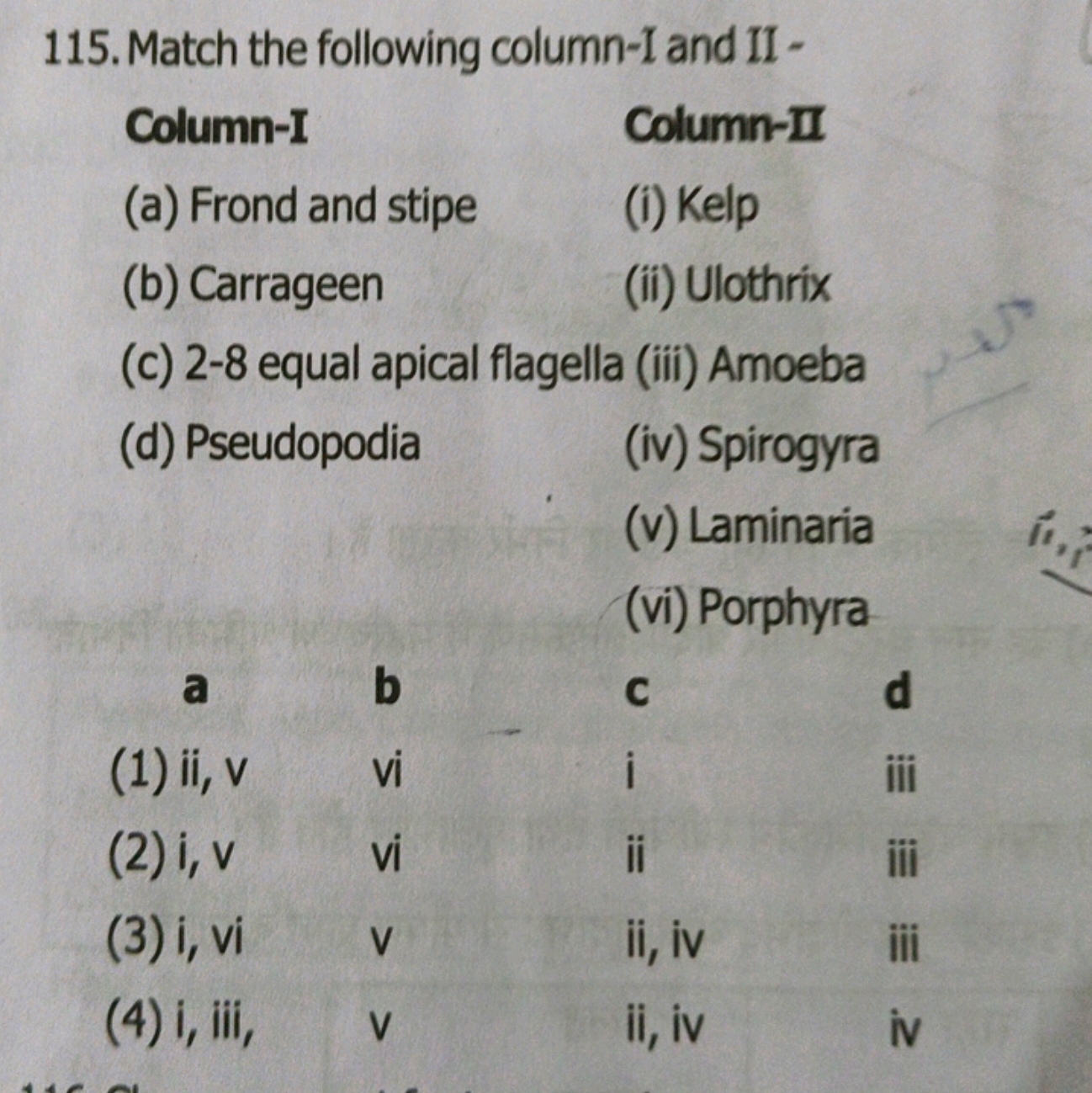 115. Match the following column-I and II -

Column-I
(a) Frond and sti