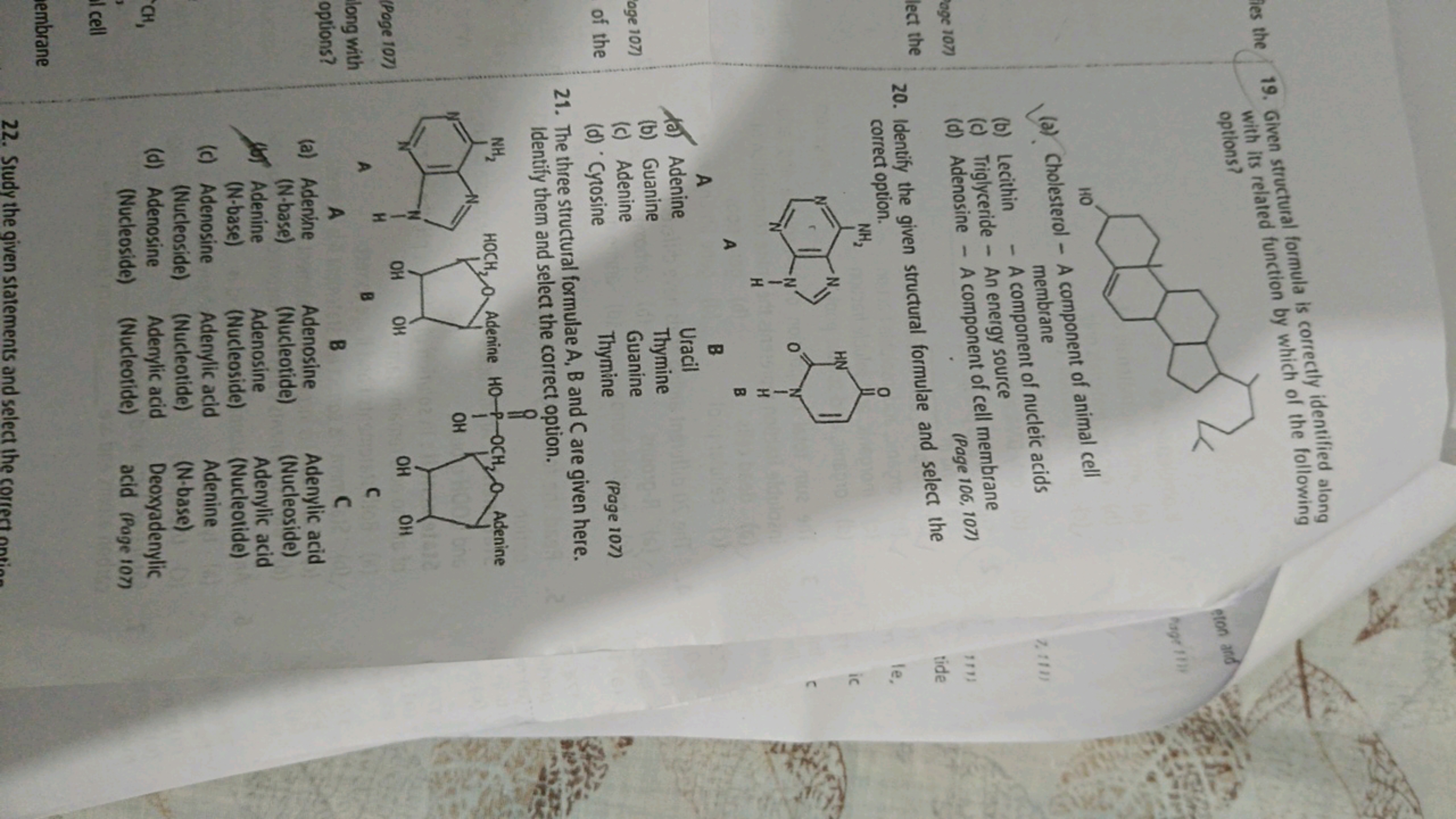 ies the 19. Given structural formula is correctly identified along
wit