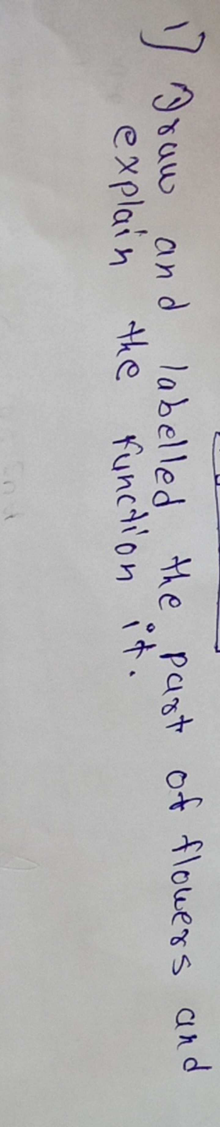 1) Draw and labelled the part of flowers and explain the function it.