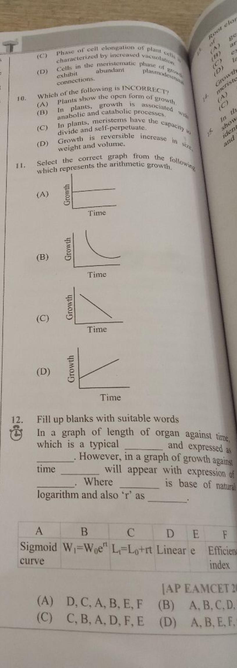 (C) Phase of cell elongation of plant (est)
(D) Cells in the meristema