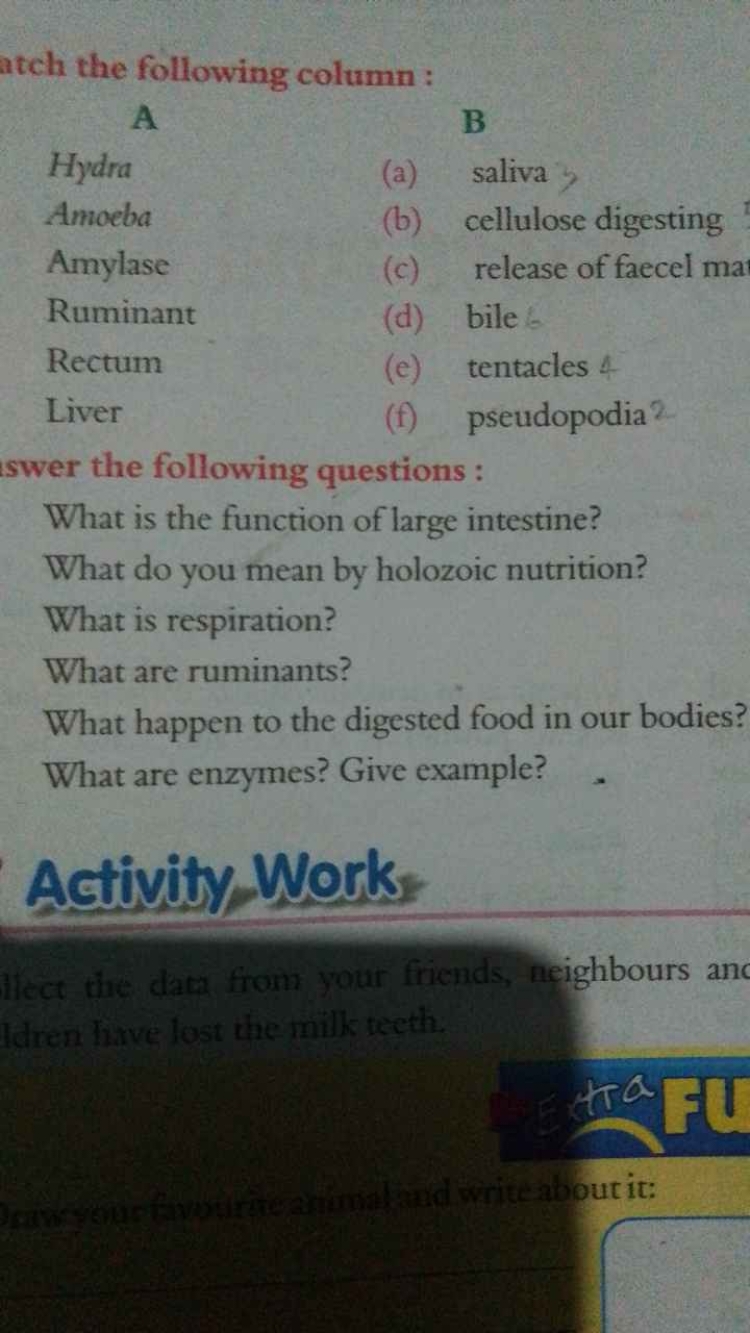 atch the following column :
A
B
Hydra
(a) saliva

Amoeba
(b) cellulose
