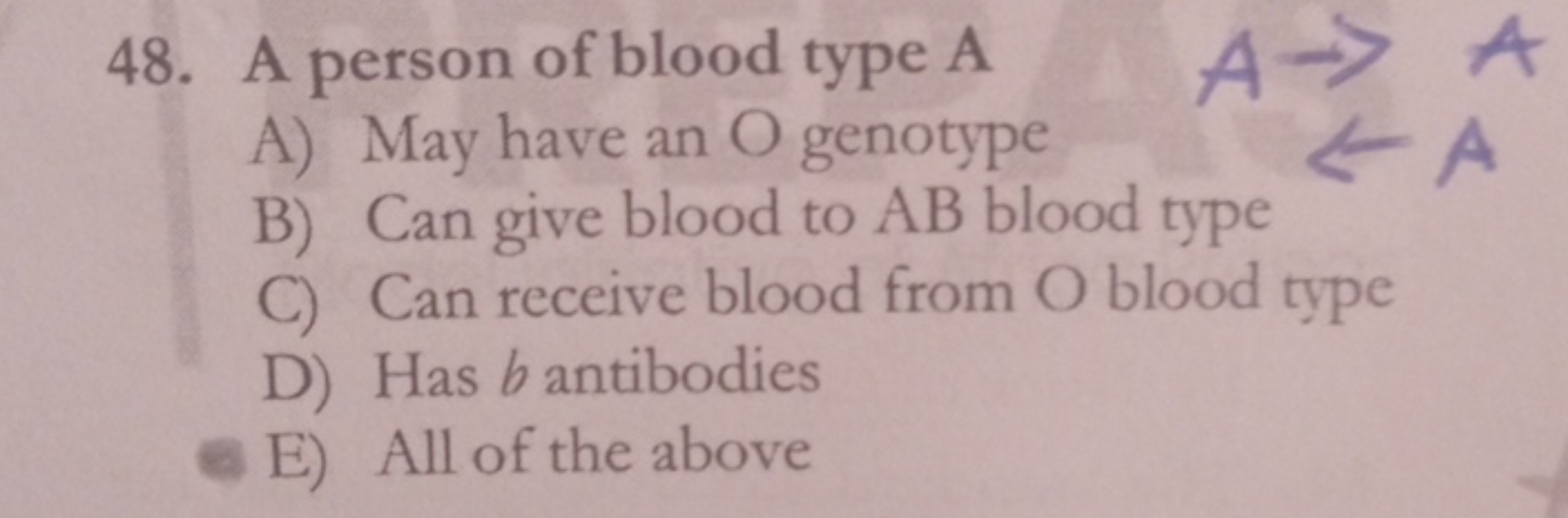 48. A person of blood type A
A) May have an O genotype
B) Can give blo