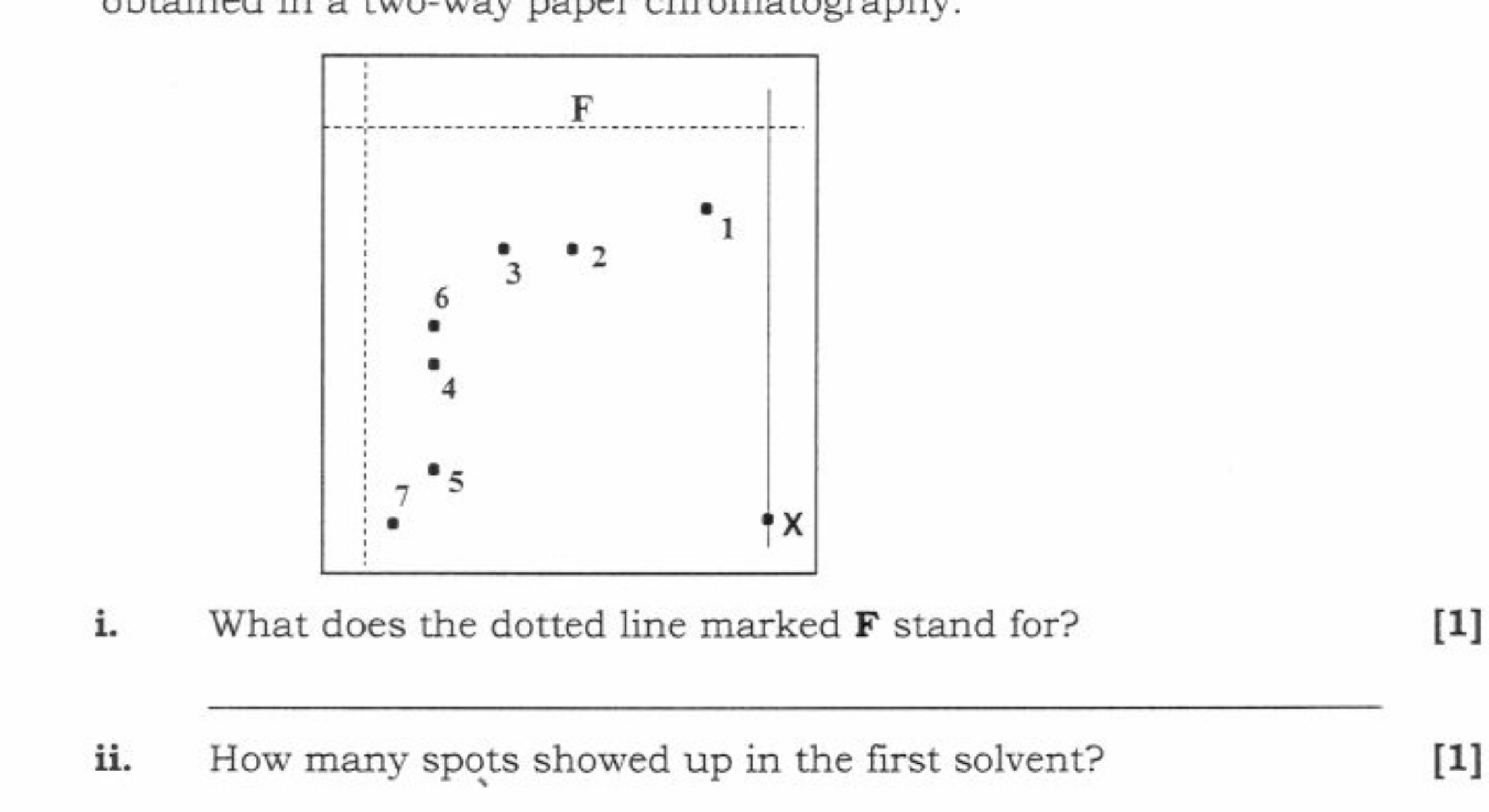 
i. What does the dotted line marked F stand for?
[1]
ii. How many spo