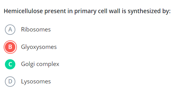 Hemicellulose present in primary cell wall is synthesized by:
(A) Ribo