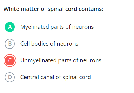 White matter of spinal cord contains:

A Myelinated parts of neurons
(