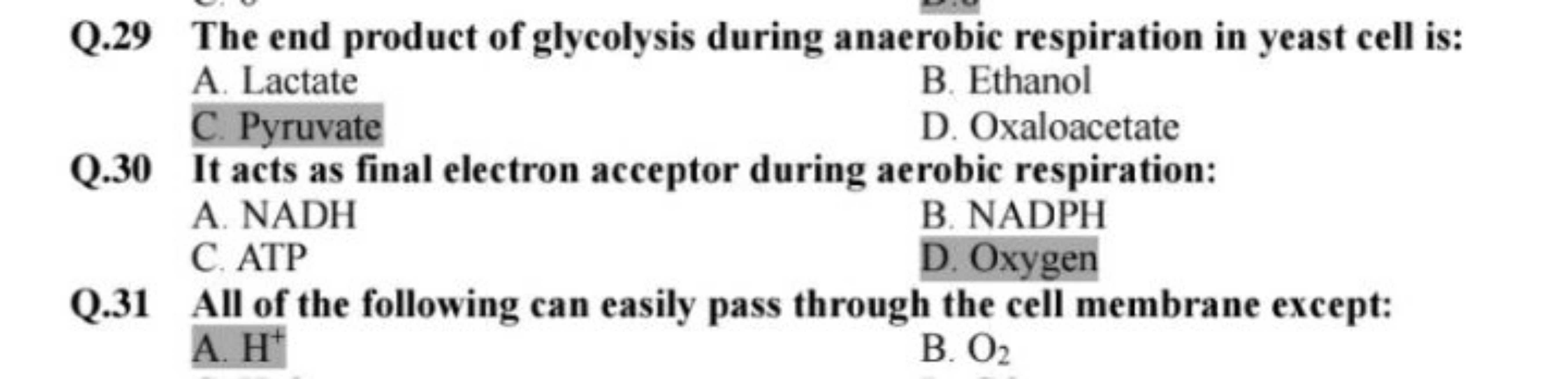 Q. 29 The end product of glycolysis during anaerobic respiration in ye