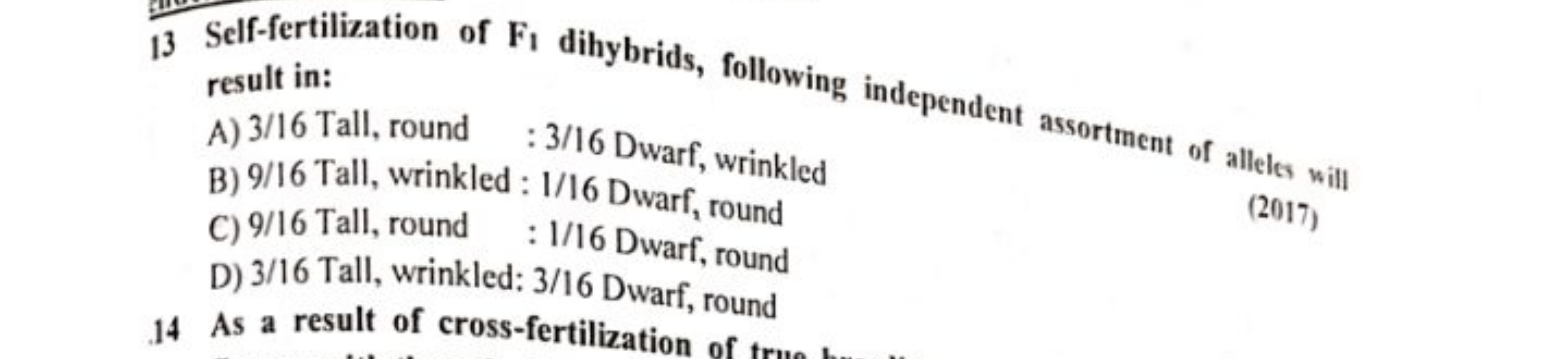 13 Self-fertilization of F1​ dihybrids, following independent assortme